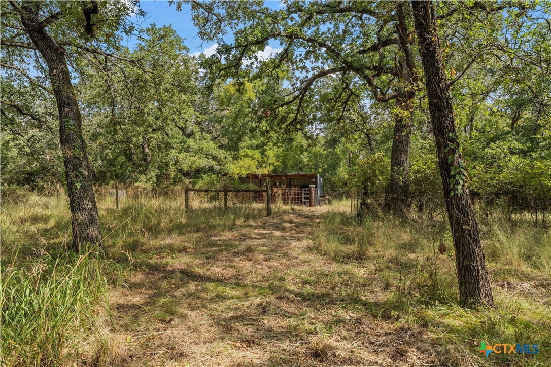 Holland, Texas, 76534, United States, 3 Bedrooms Bedrooms, ,2 BathroomsBathrooms,Residential,For Sale,1933257