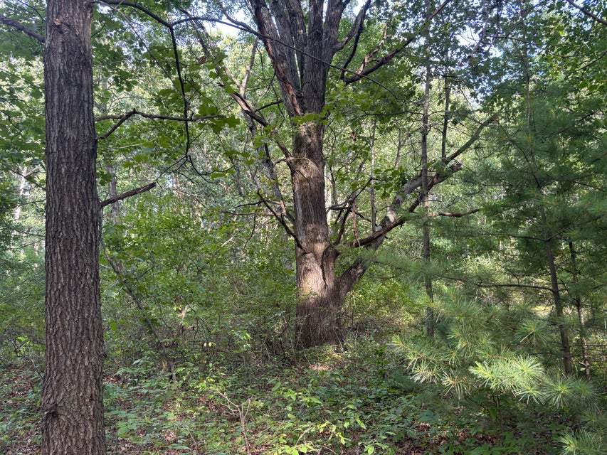 Howard City, Michigan, 49329, United States, 2 Bedrooms Bedrooms, ,1 BathroomBathrooms,Residential,For Sale,1982398