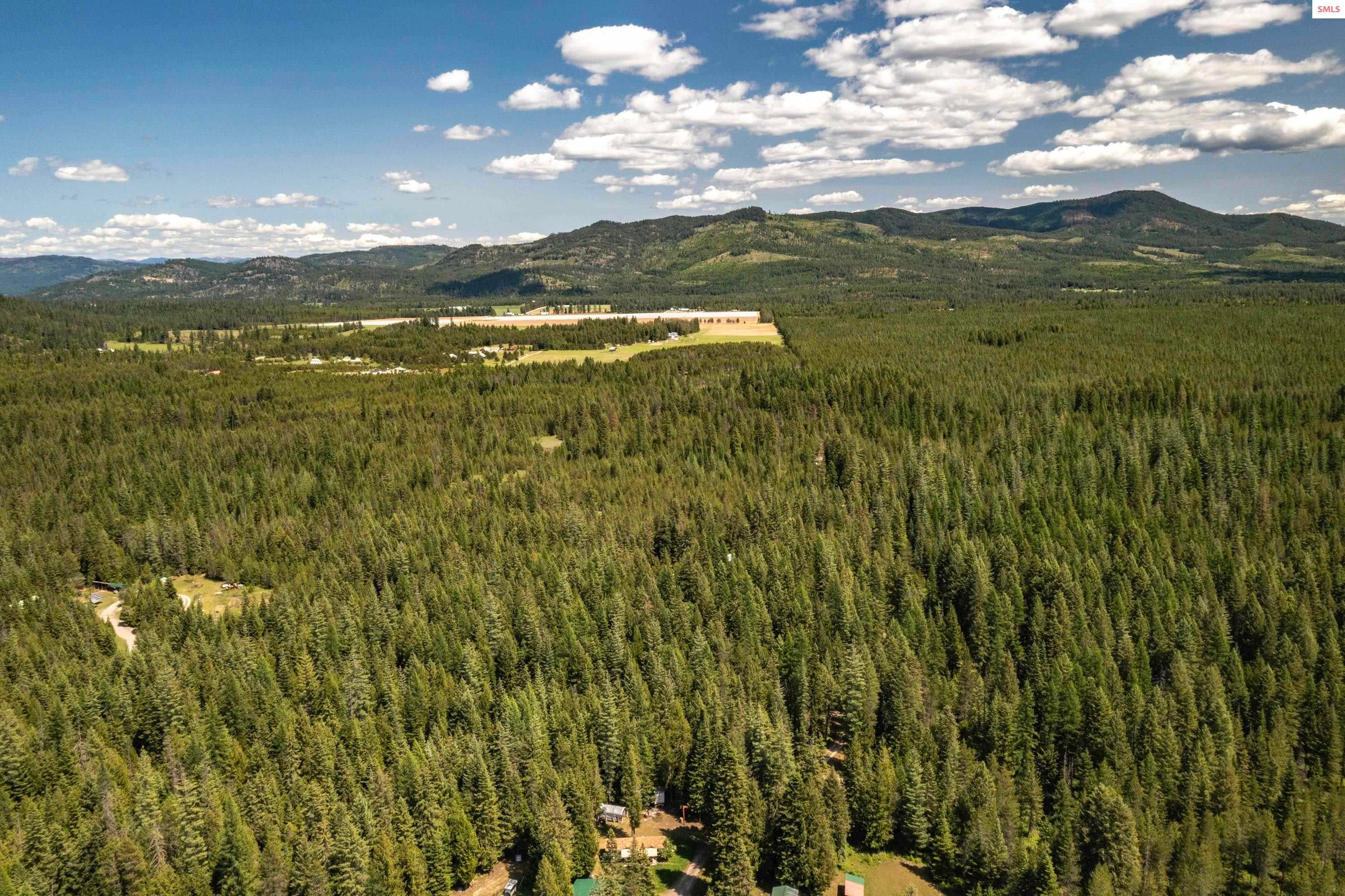 Priest River, Idaho, 83856, United States, 4 Bedrooms Bedrooms, ,Residential,For Sale,2025404