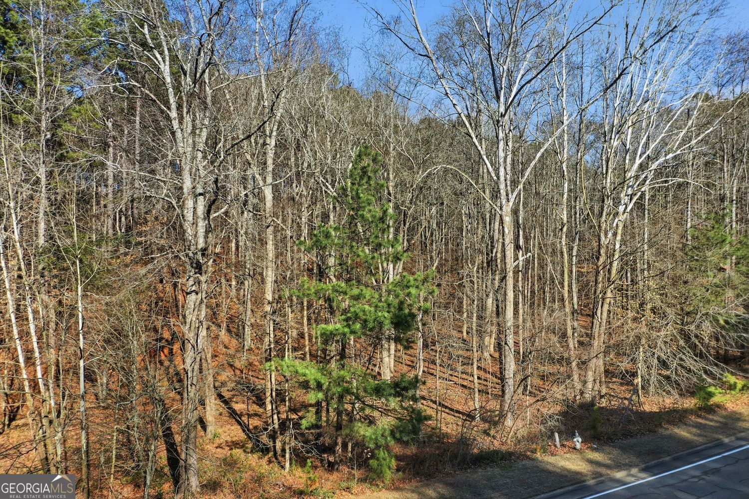 Canton, Georgia, 30114, United States, ,Land,For Sale,2013607