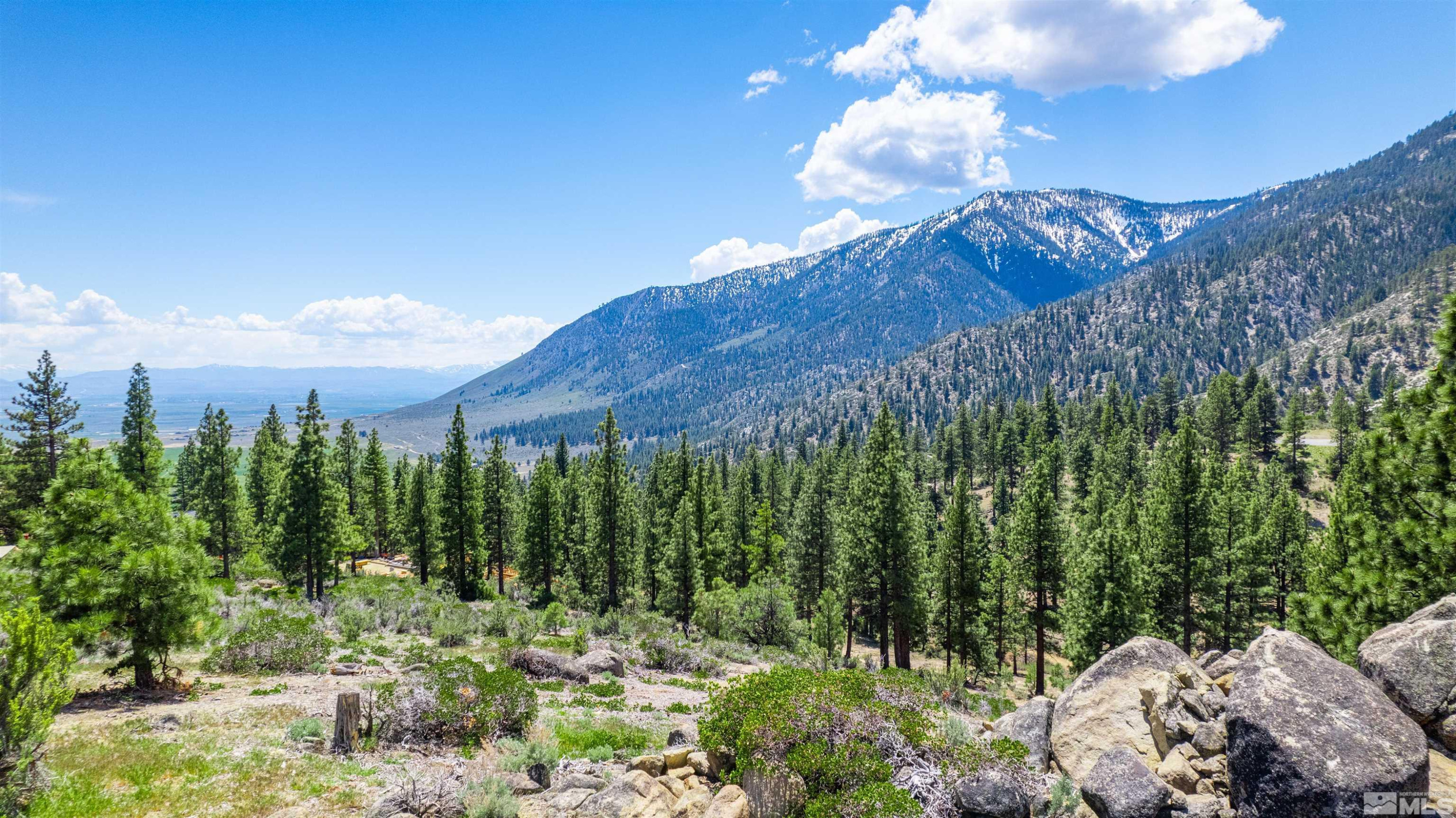 Carson City, Nevada, 89705, United States, ,Land,For Sale,1828130