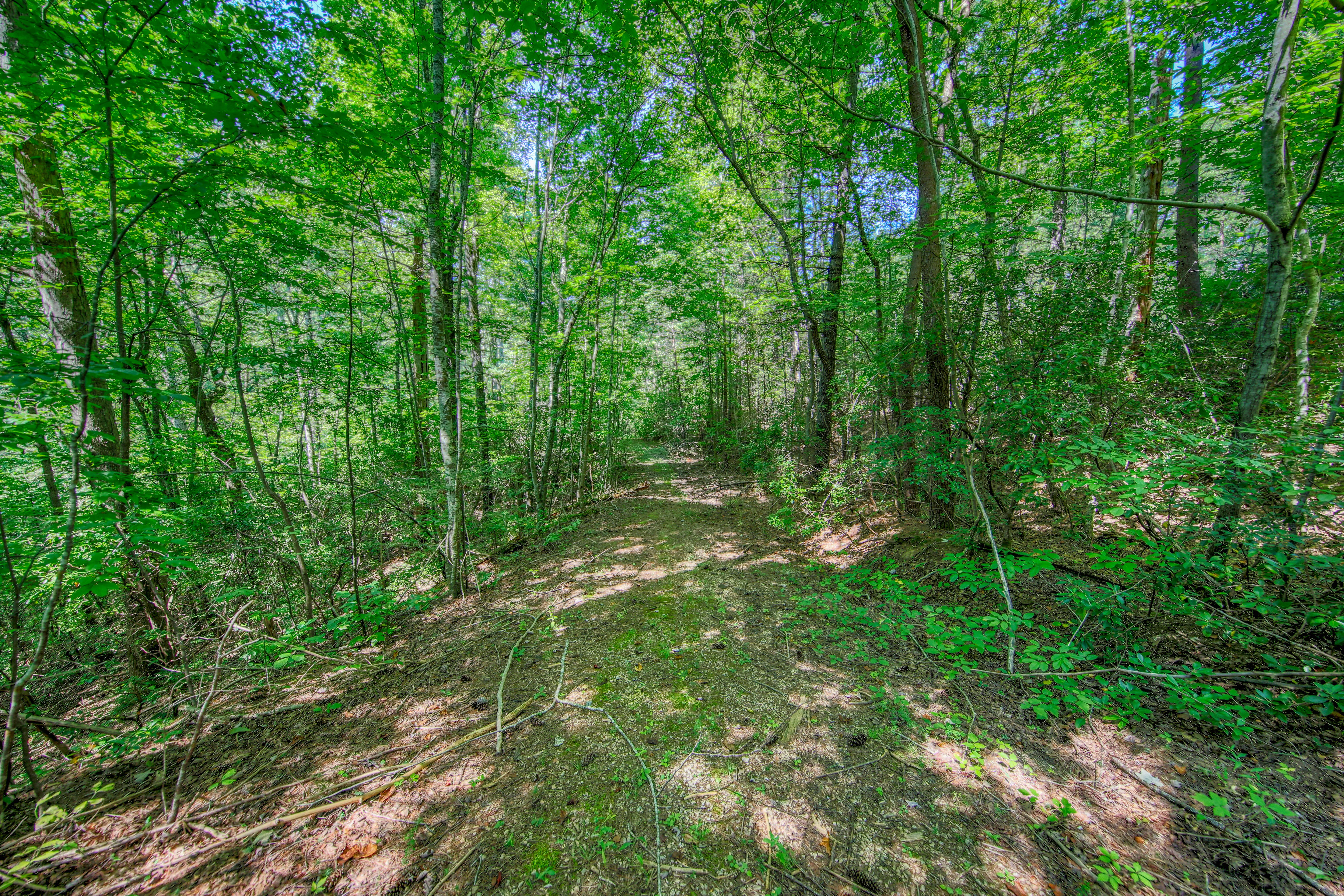  Belcher Loop, Tellico Plains, TN 37385 - 物件實景