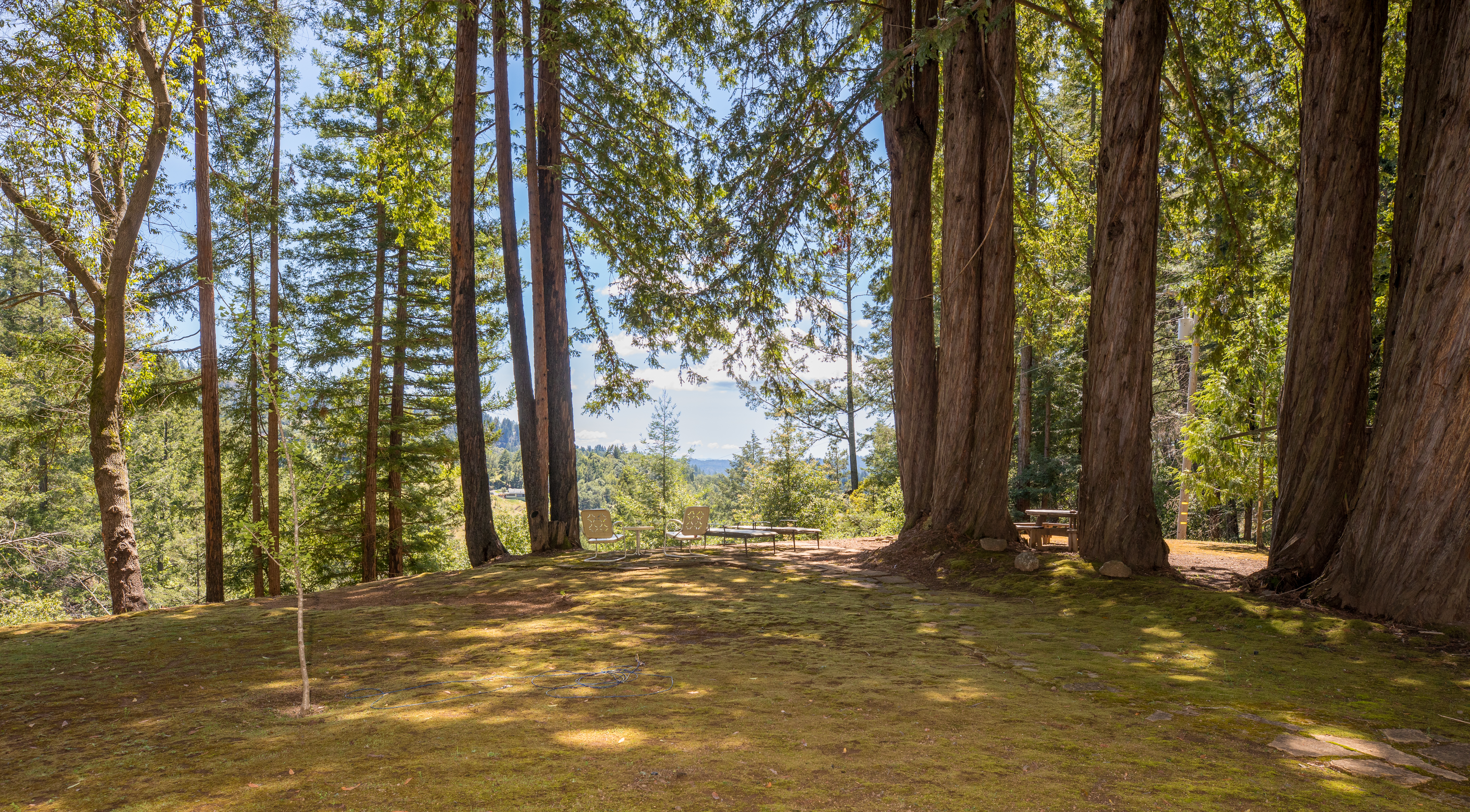  18900 Armstrong Woods Road, Guerneville, CA 95446 - 物件實景