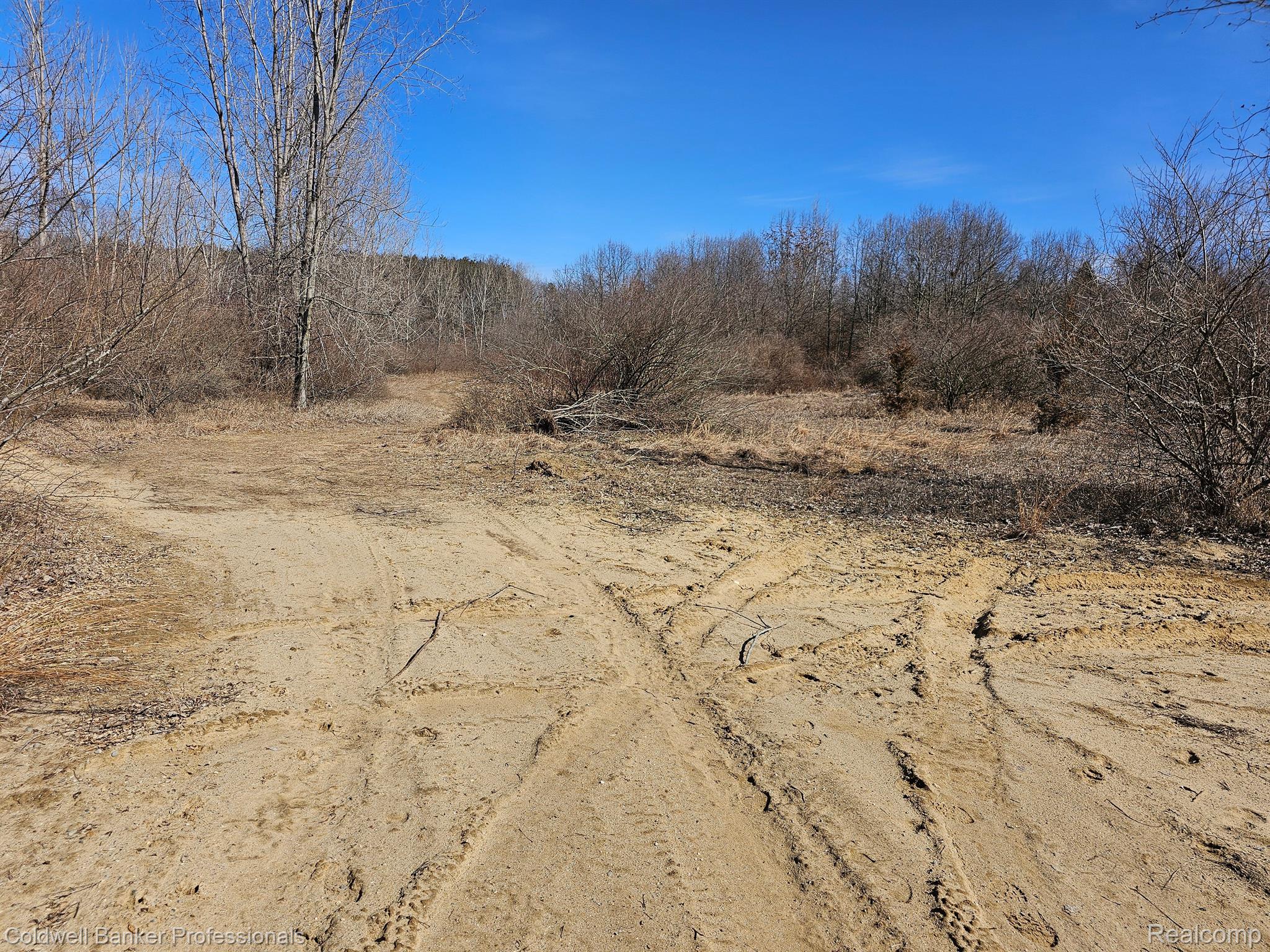 Metamora, Michigan, 48455, United States, ,Land,For Sale,1736755