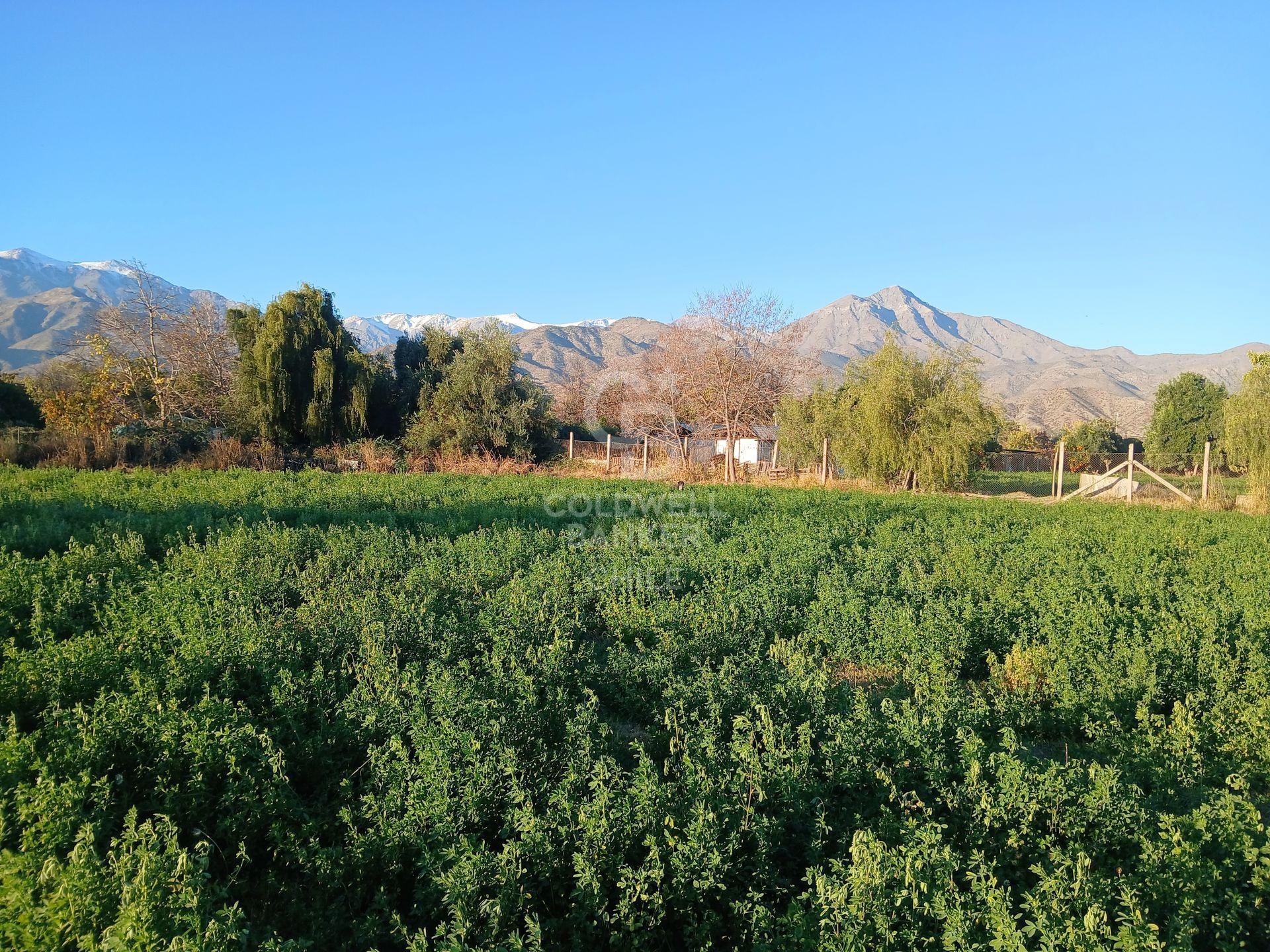 San Esteban, Chile, ,Land,For Sale,1926022