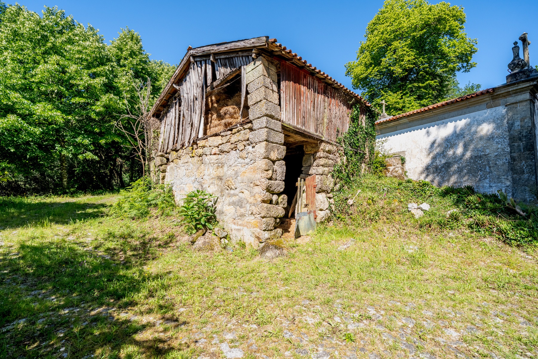  Farm for Sale - 物件實景
