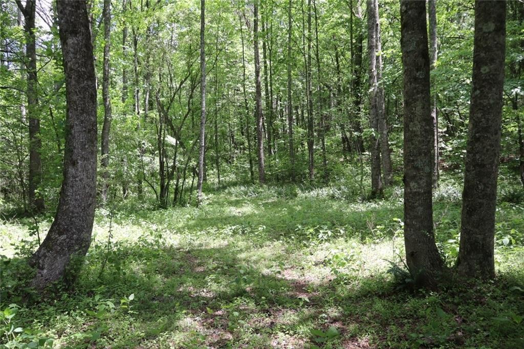 Ellijay, Georgia, 30540, United States, ,Residential,For Sale,1881390