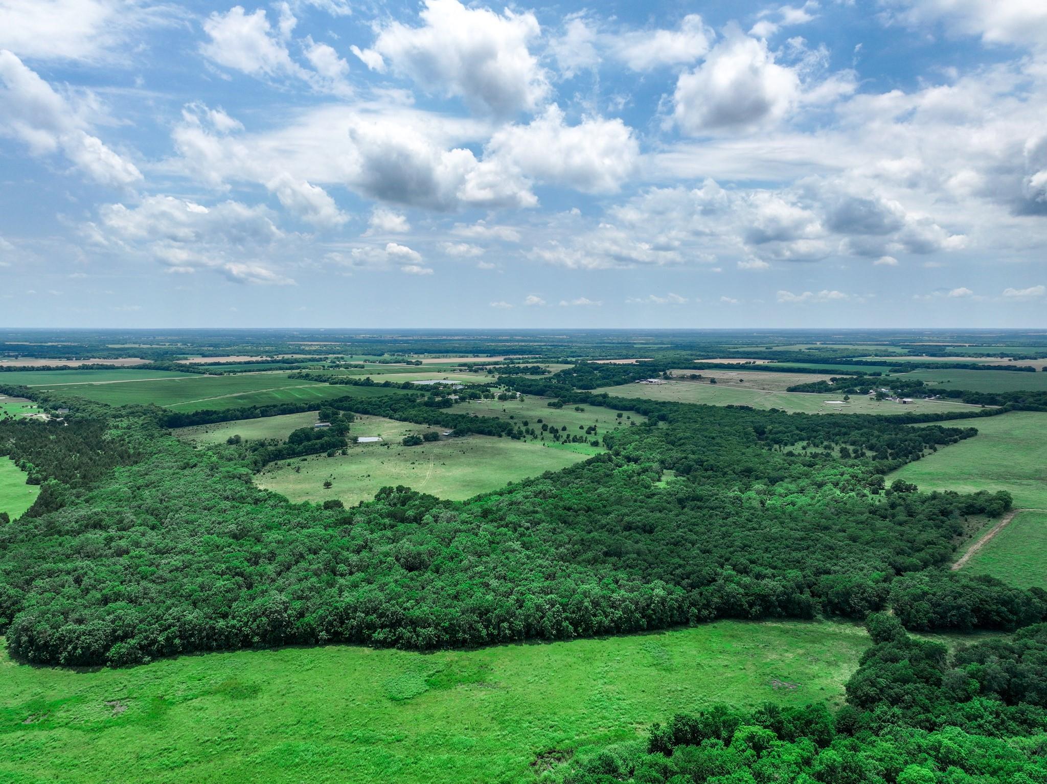Commerce, Texas, 75428, United States, ,Land,For Sale,1980085