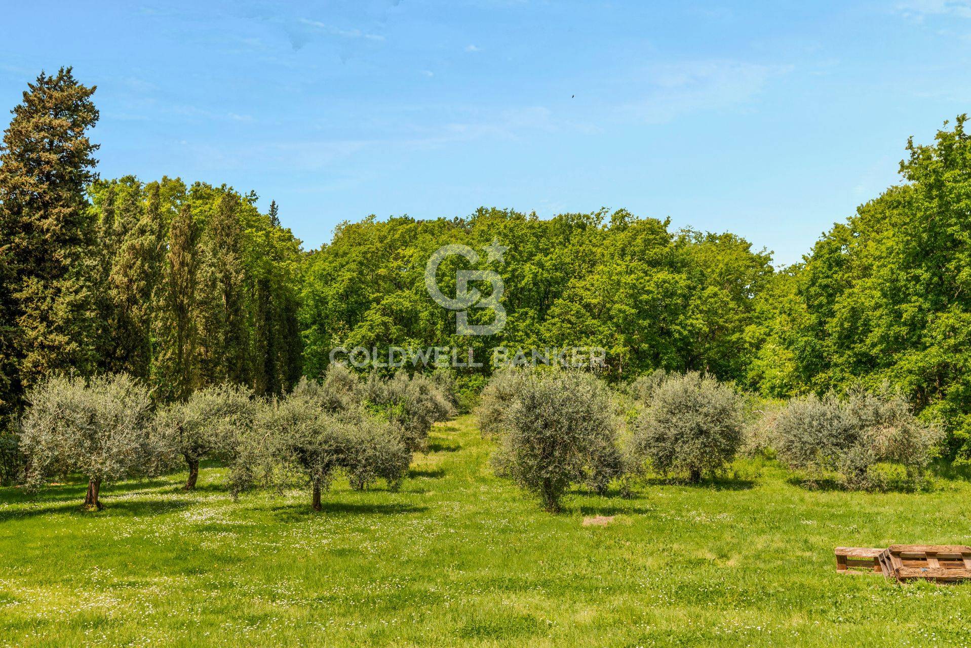 Via Montefalcone, Castelfranco di Sotto, Pisa, 56022, IT, 7 Bedrooms Bedrooms, ,4 BathroomsBathrooms,Residential,For Sale,Via Montefalcone,1669375