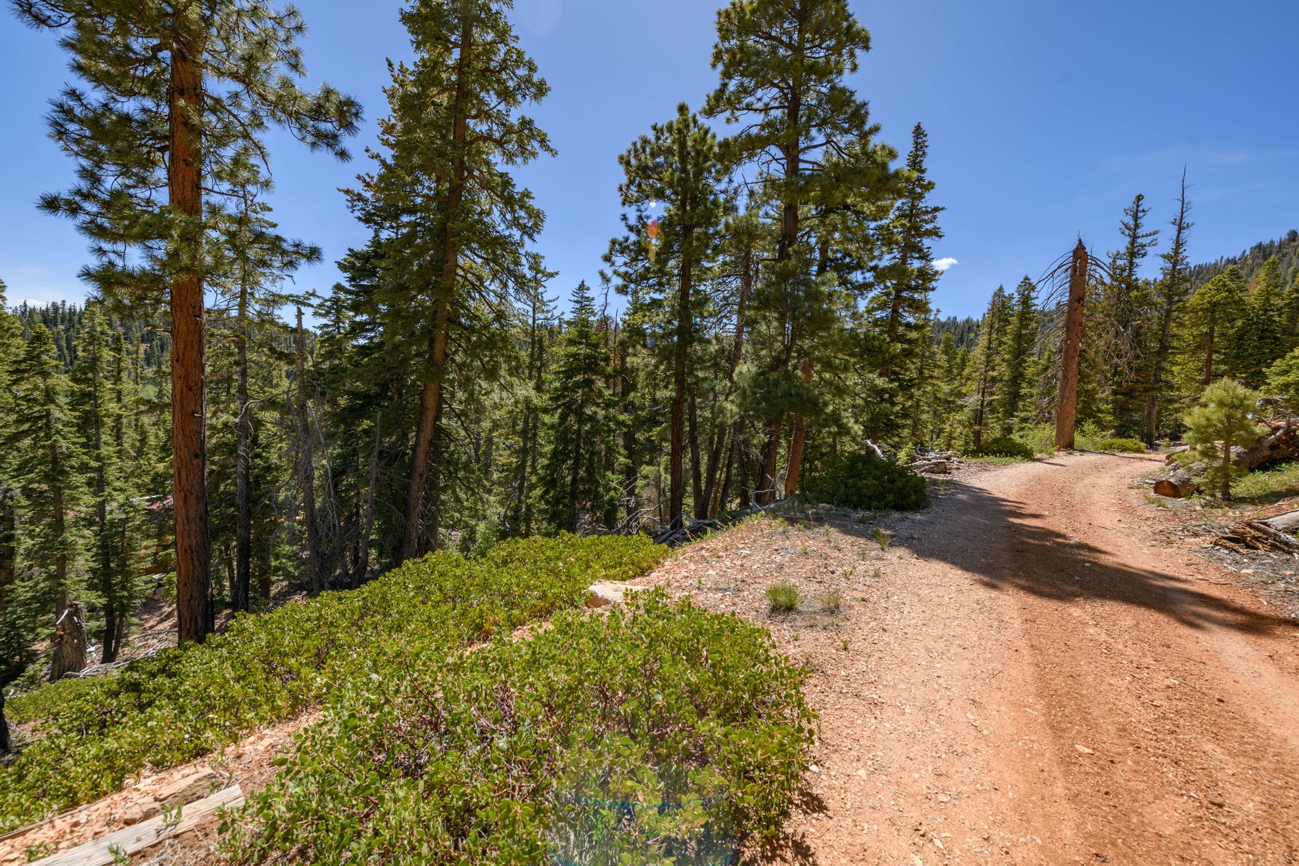  Quiet Mountain Retreat Near Navajo Lake - 物件實景