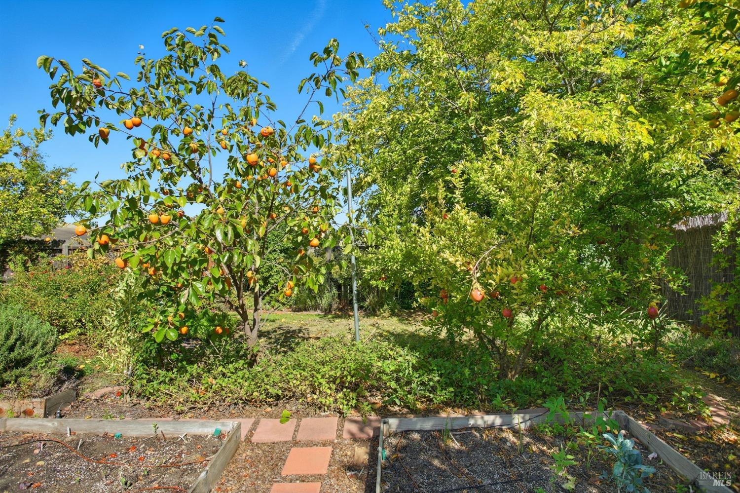 Fairfield, California, 94534, United States, 4 Bedrooms Bedrooms, ,3 BathroomsBathrooms,Residential,For Sale,1970251