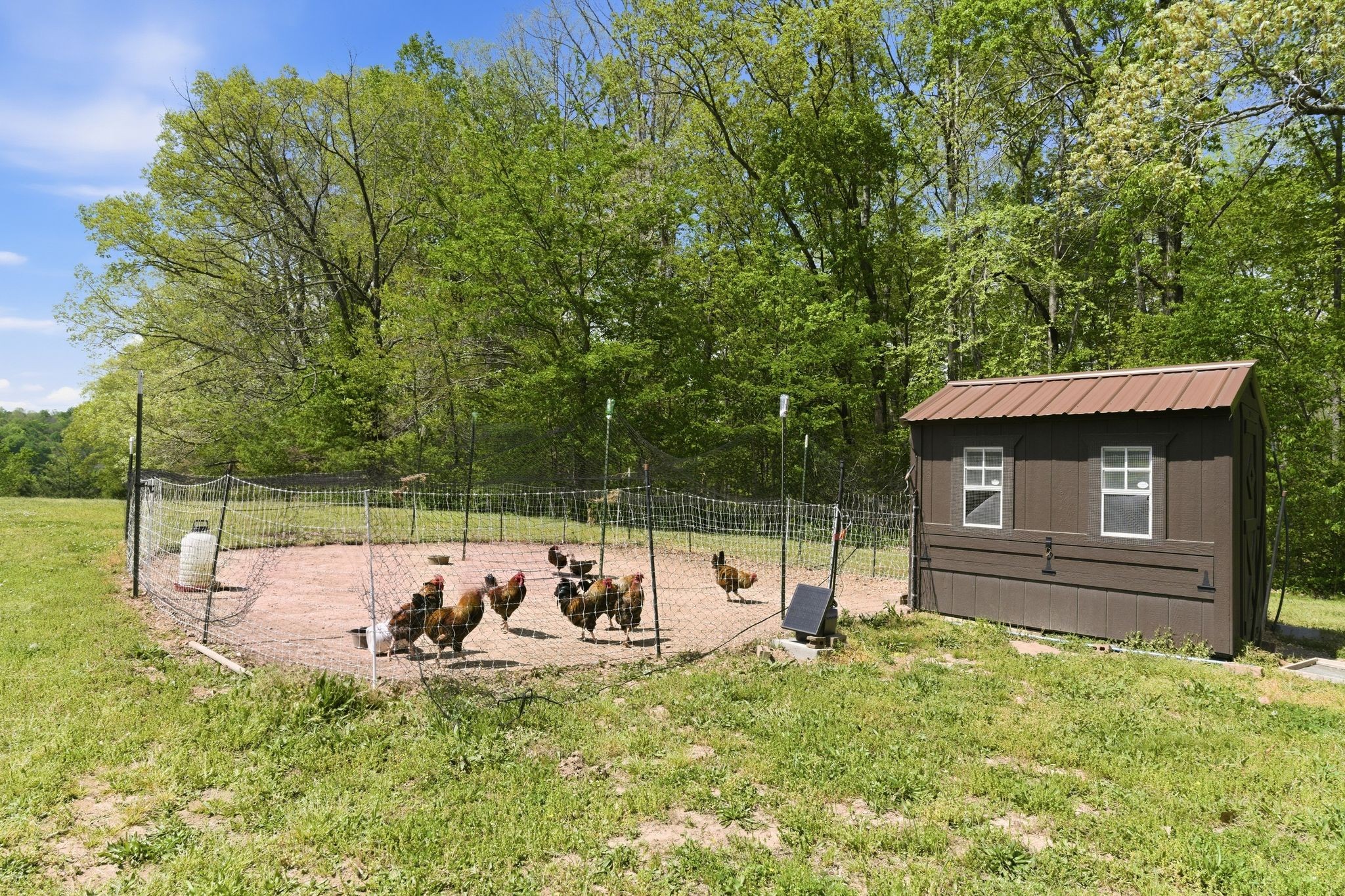  985 Furnace Hollow Road, Dickson, TN, 37055 - 物件實景