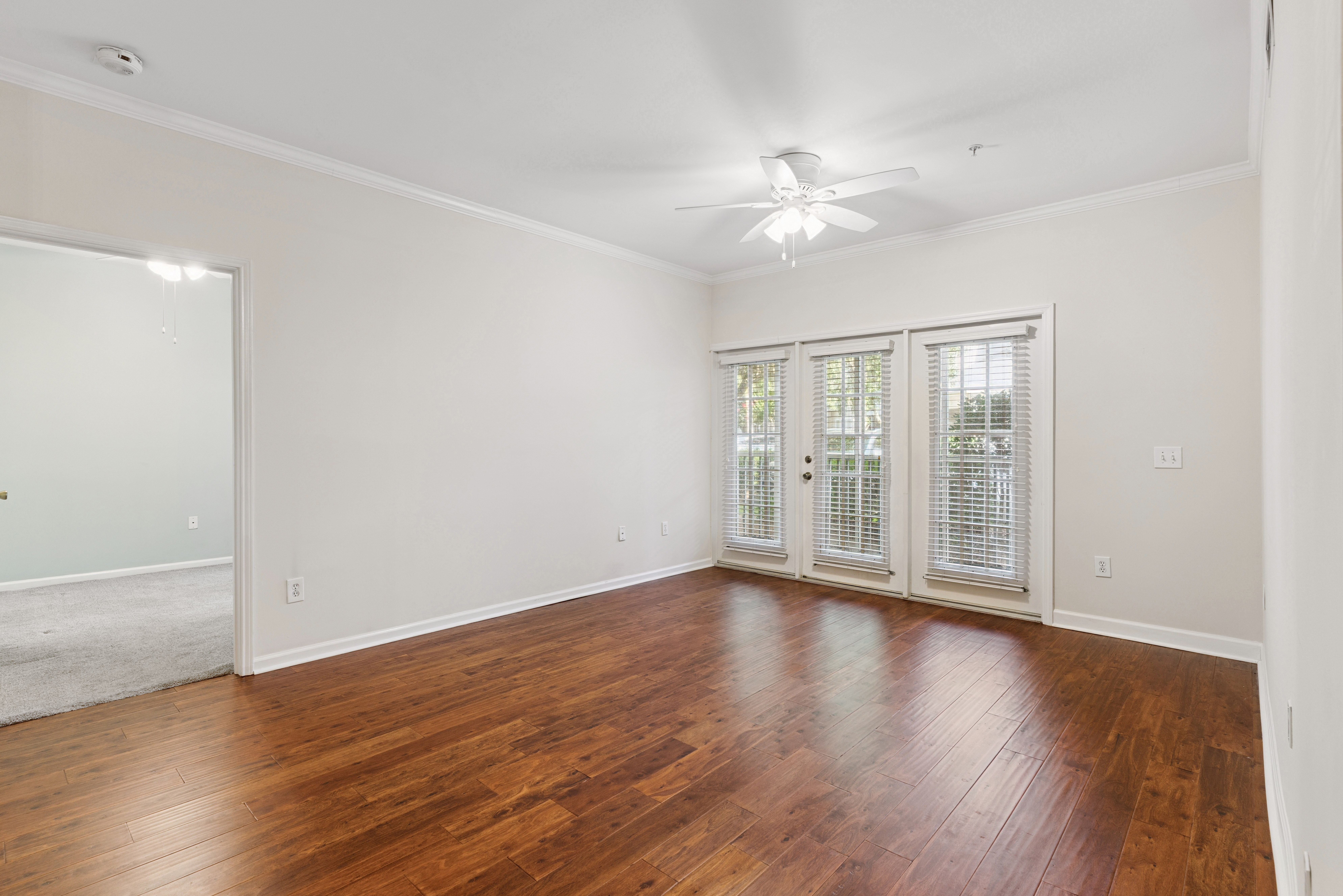  1704 Frederica Road #507 - 物件實景