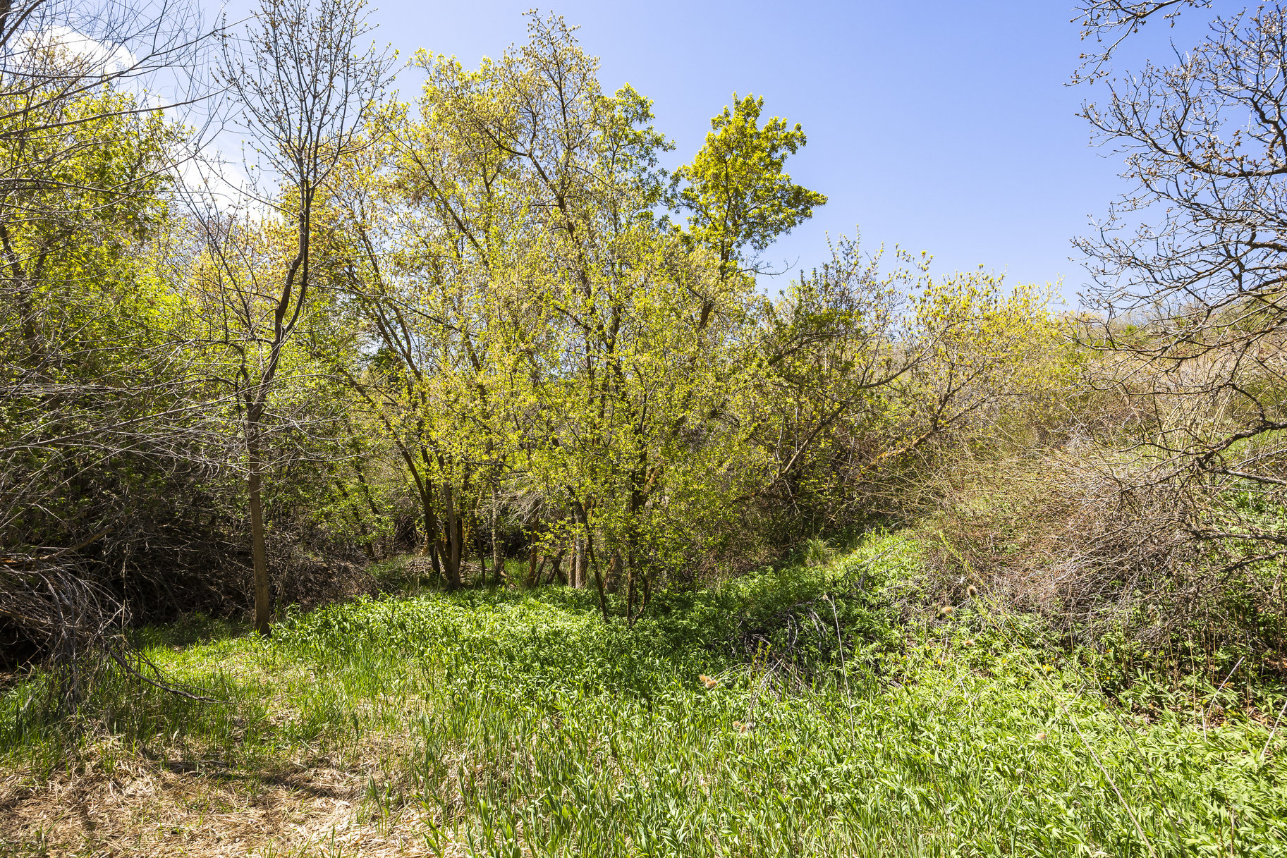  1.47 Acre Lot In East Layton With Endless Possibilities - 物件實景