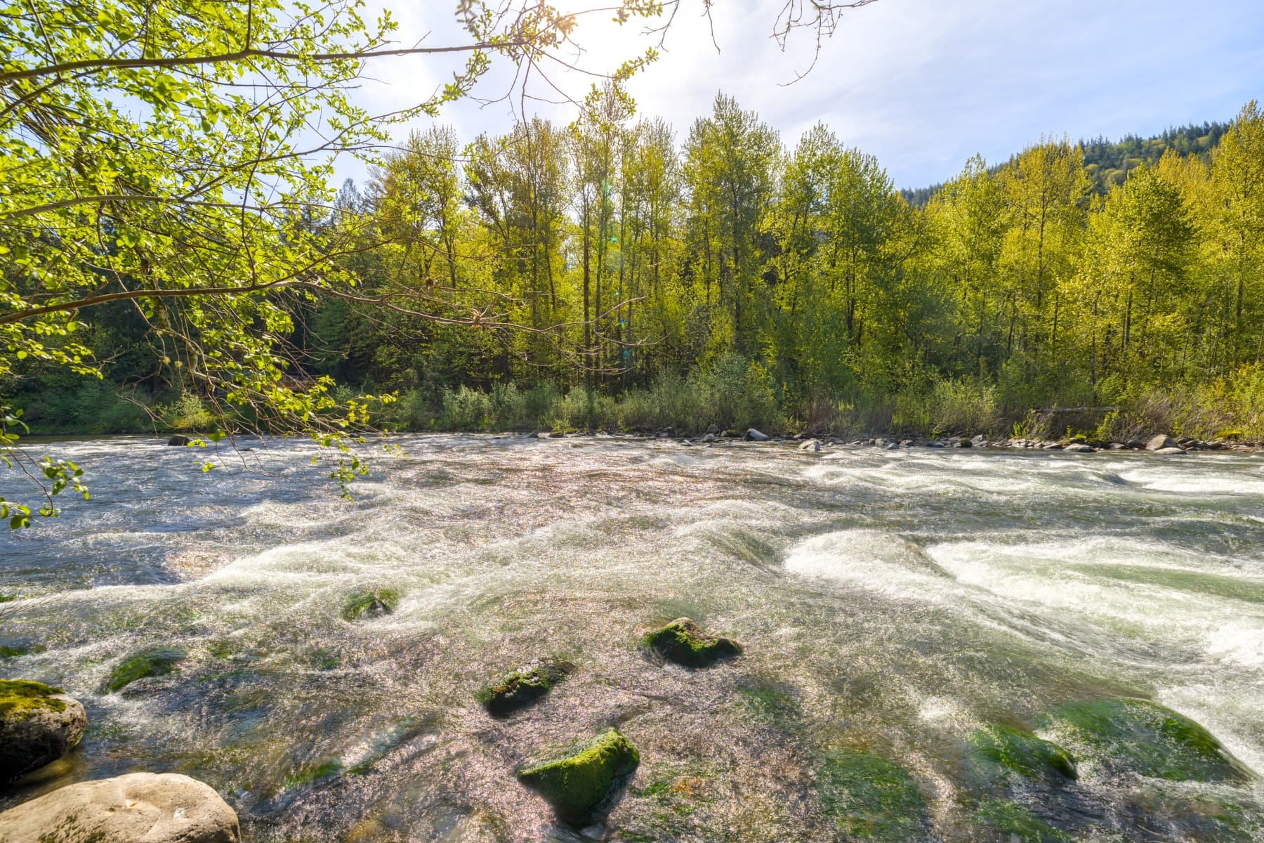  58200 E MARMOT RD Sandy, OR 97055 - 物件實景