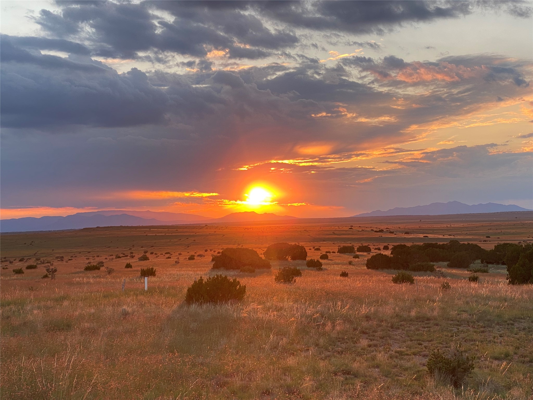  26262 US Highway 285 - 物件實景
