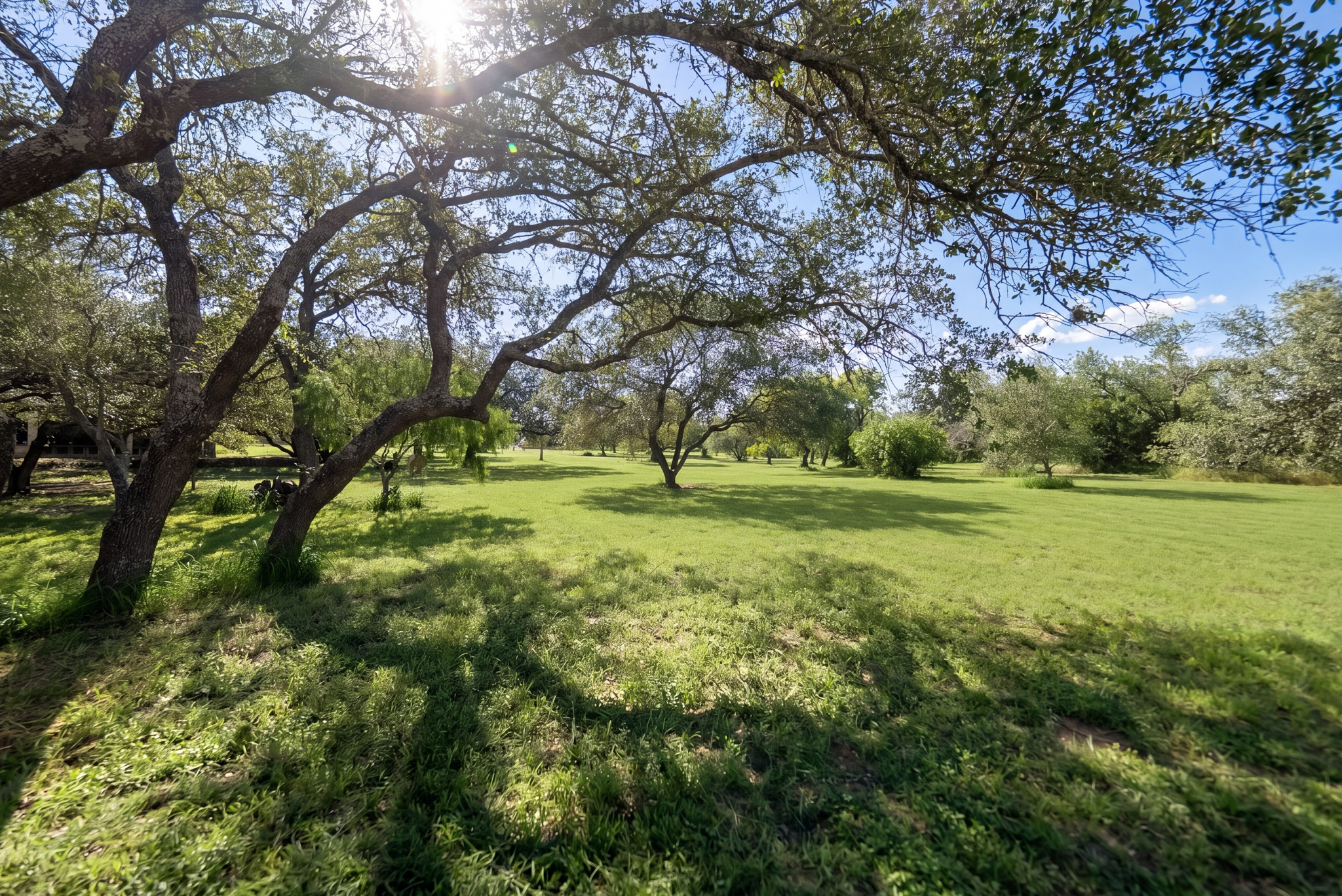  Private 10-Acre Horse Property in Lytle - 物件實景