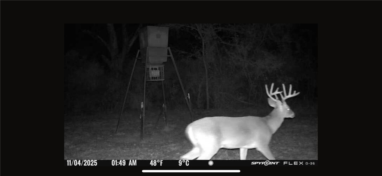 Thornton, Texas, 76687, United States, ,Land,For Sale,2003074