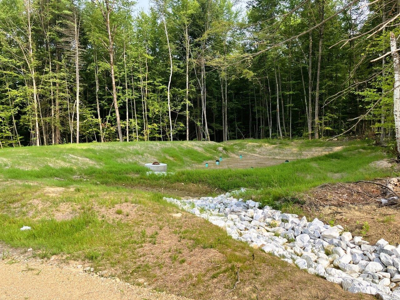 Leicester, Vermont, 05733, United States, ,Land,For Sale,1916983