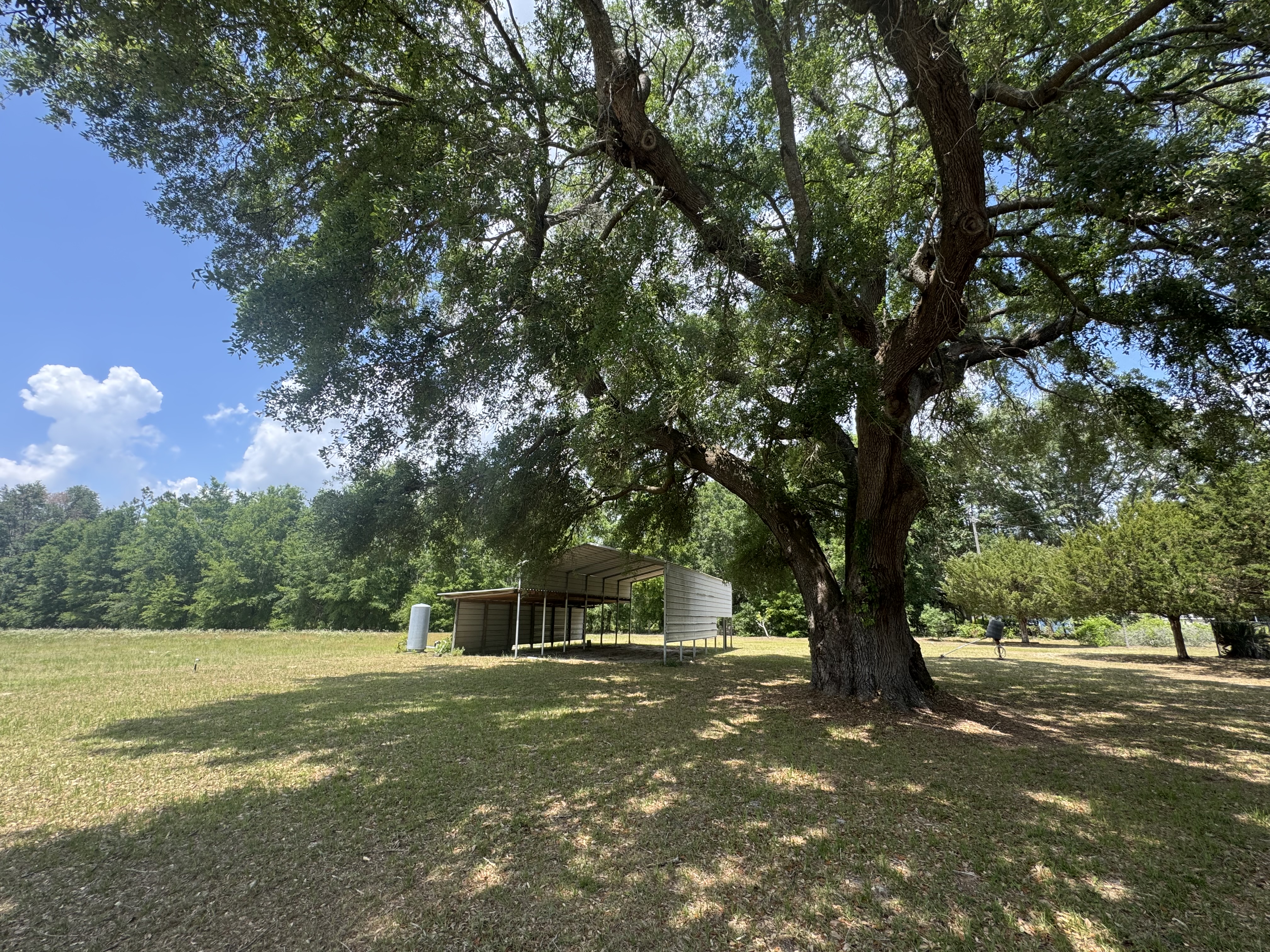 LAKE CITY, Florida, 32024, United States, 4 Bedrooms Bedrooms, ,2 BathroomsBathrooms,Residential,For Sale,1794227