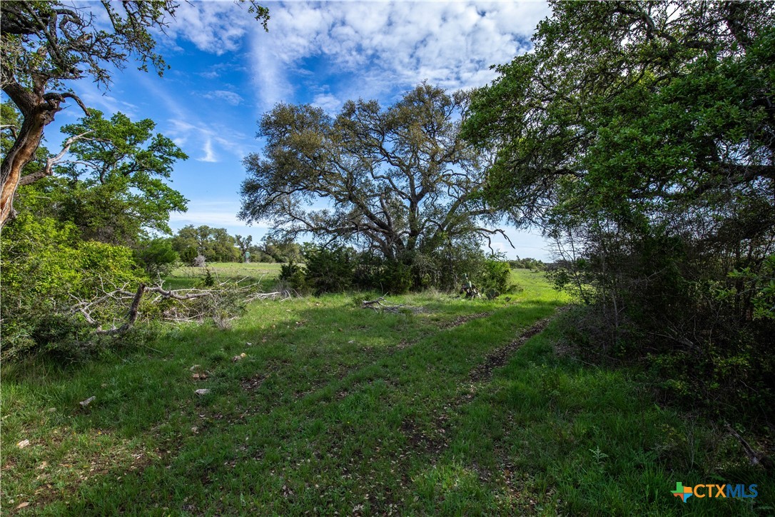 San Marcos, Texas, 78666, United States, ,Land,For Sale,1990898