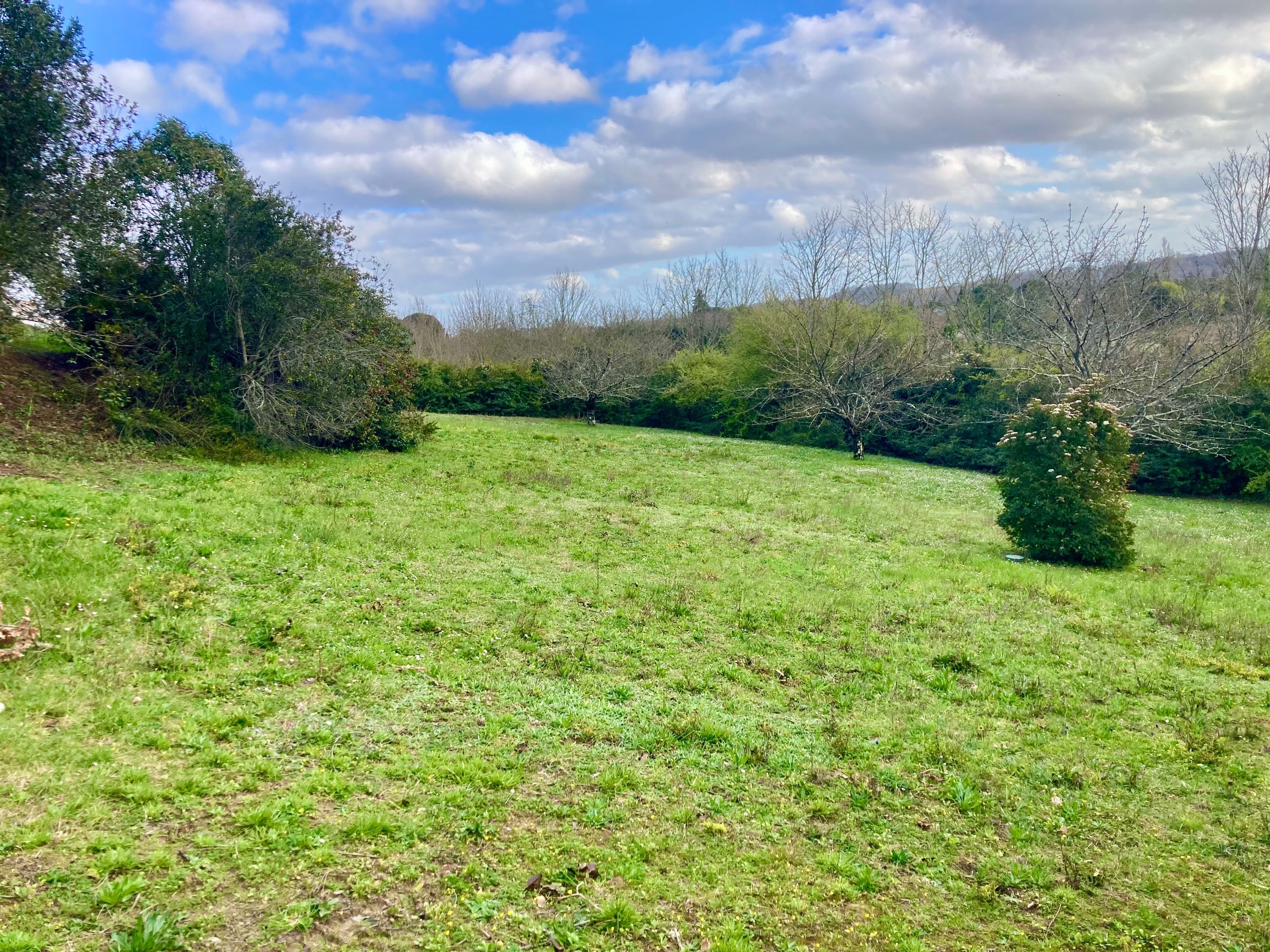  Terrain - 物件實景