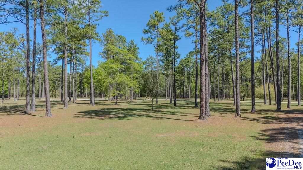 1315 Hill Harrell Road, Effingham, South Carolina, 29541-3179, United States, ,Land,For Sale,1315 Hill Harrell Road,1501598