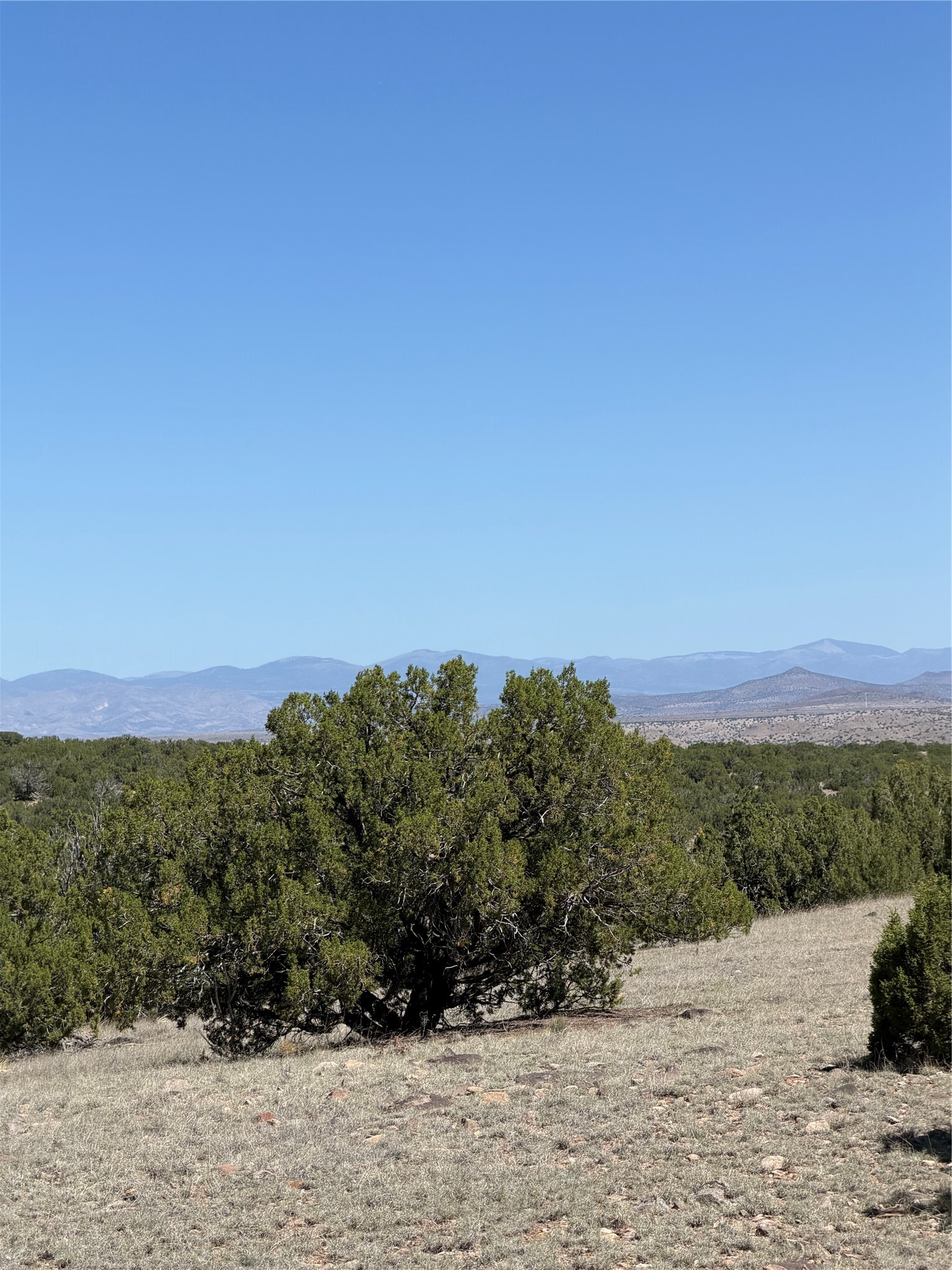  7 Rancho De Shama A - 物件實景
