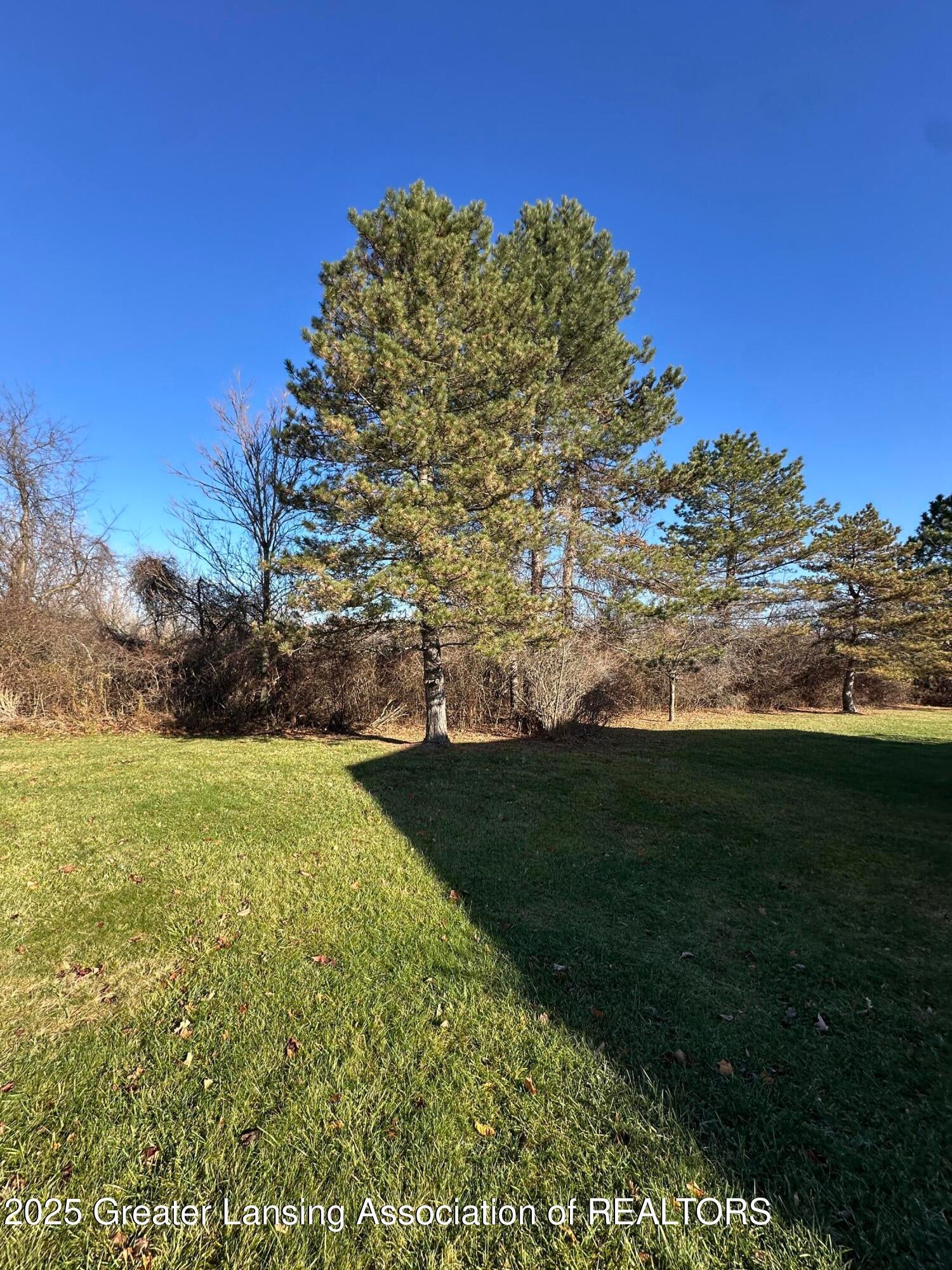 Lansing, Michigan, 48917, United States, 3 Bedrooms Bedrooms, ,4 BathroomsBathrooms,Residential,For Sale,1995579