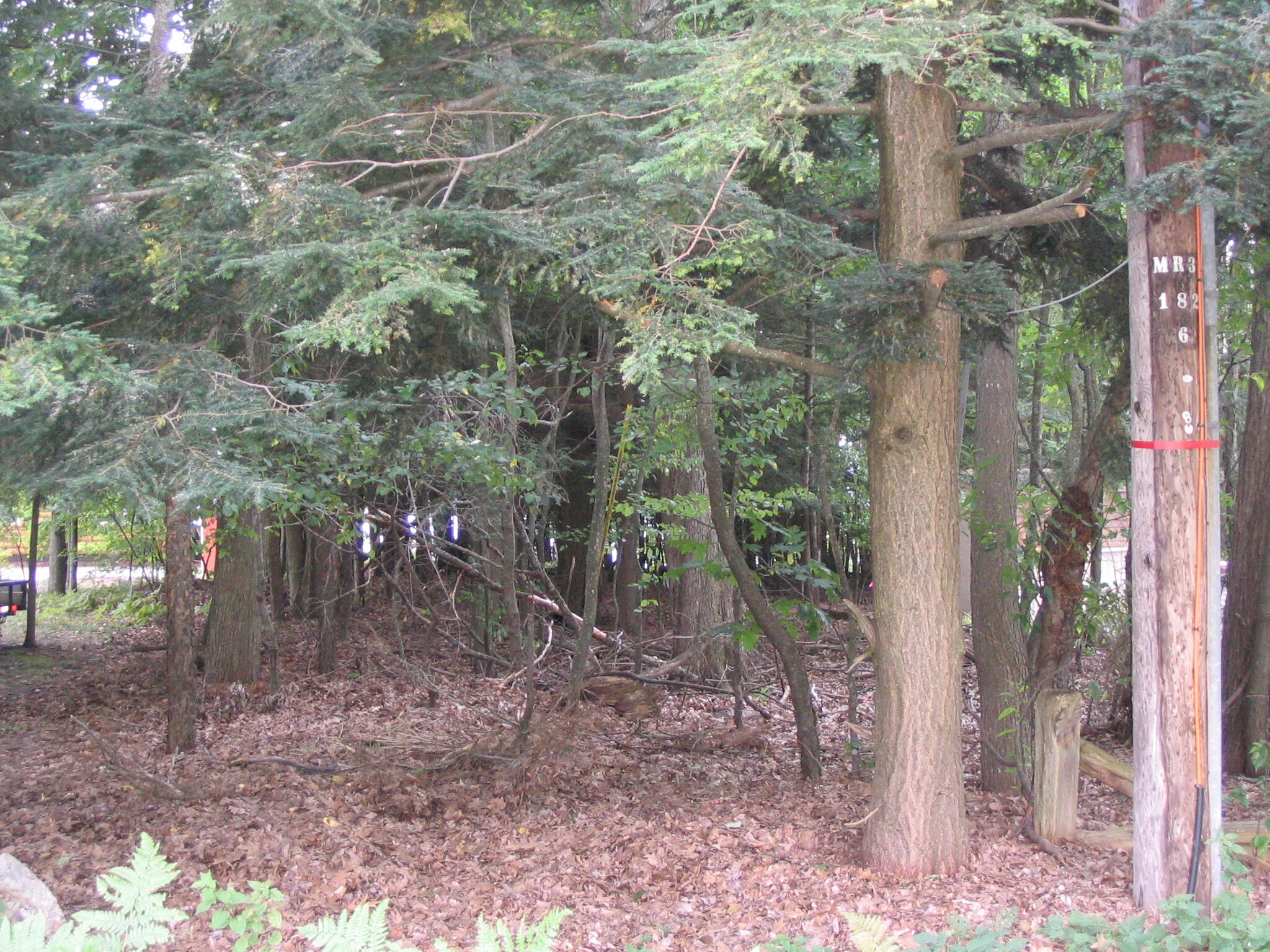 Grayling, Michigan, 49738, United States, ,Residential,For Sale,1845615