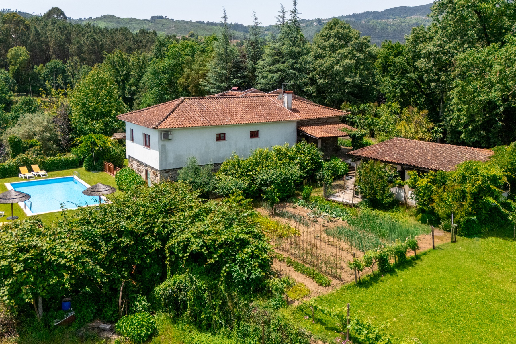  Farm, 8 bedrooms, for Sale - 物件實景