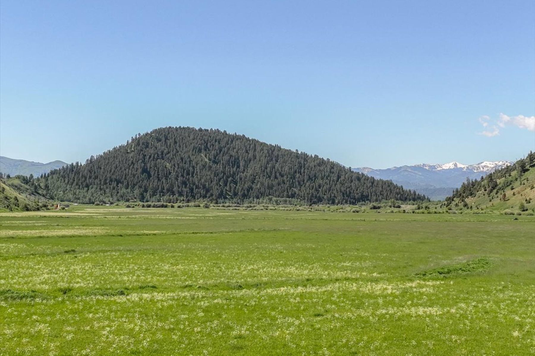  The Mead Ranch - 物件實景