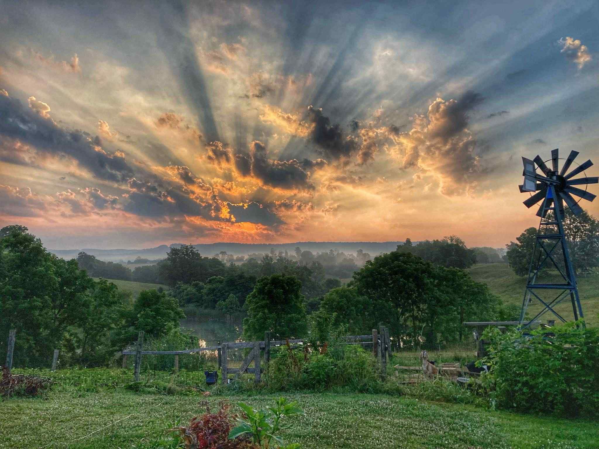 Hillsboro, Kentucky, 41049, United States, 3 Bedrooms Bedrooms, ,3 BathroomsBathrooms,Residential,For Sale,1984101