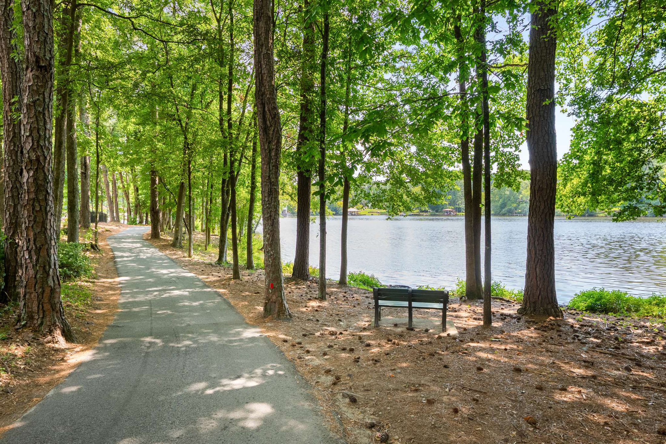 Lake Peachtree
