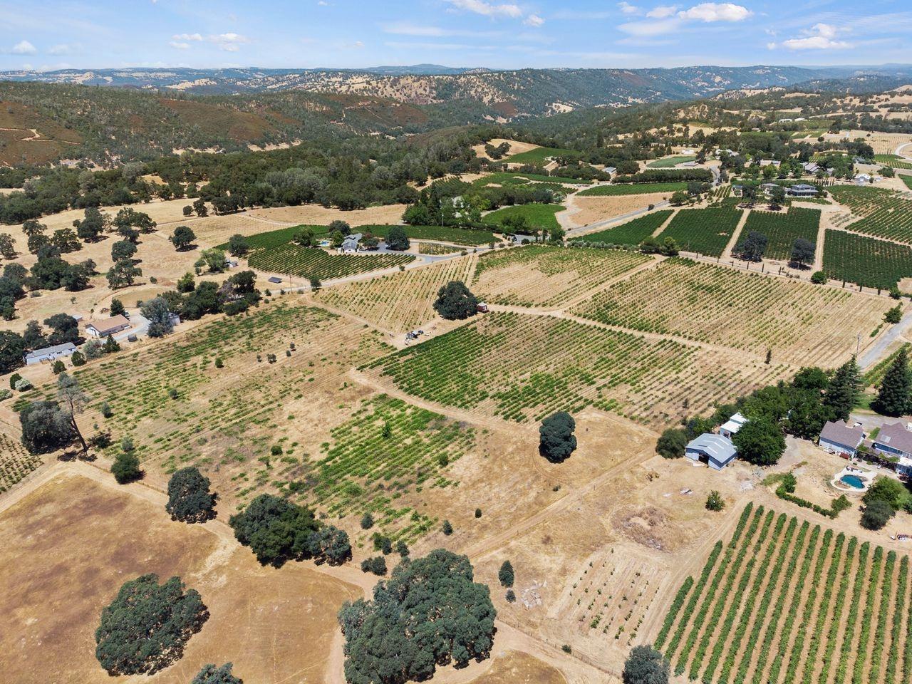 21226 Dickson Road, Plymouth, California, 95669, United States, ,Land,For Sale,21226 Dickson Road,1672447
