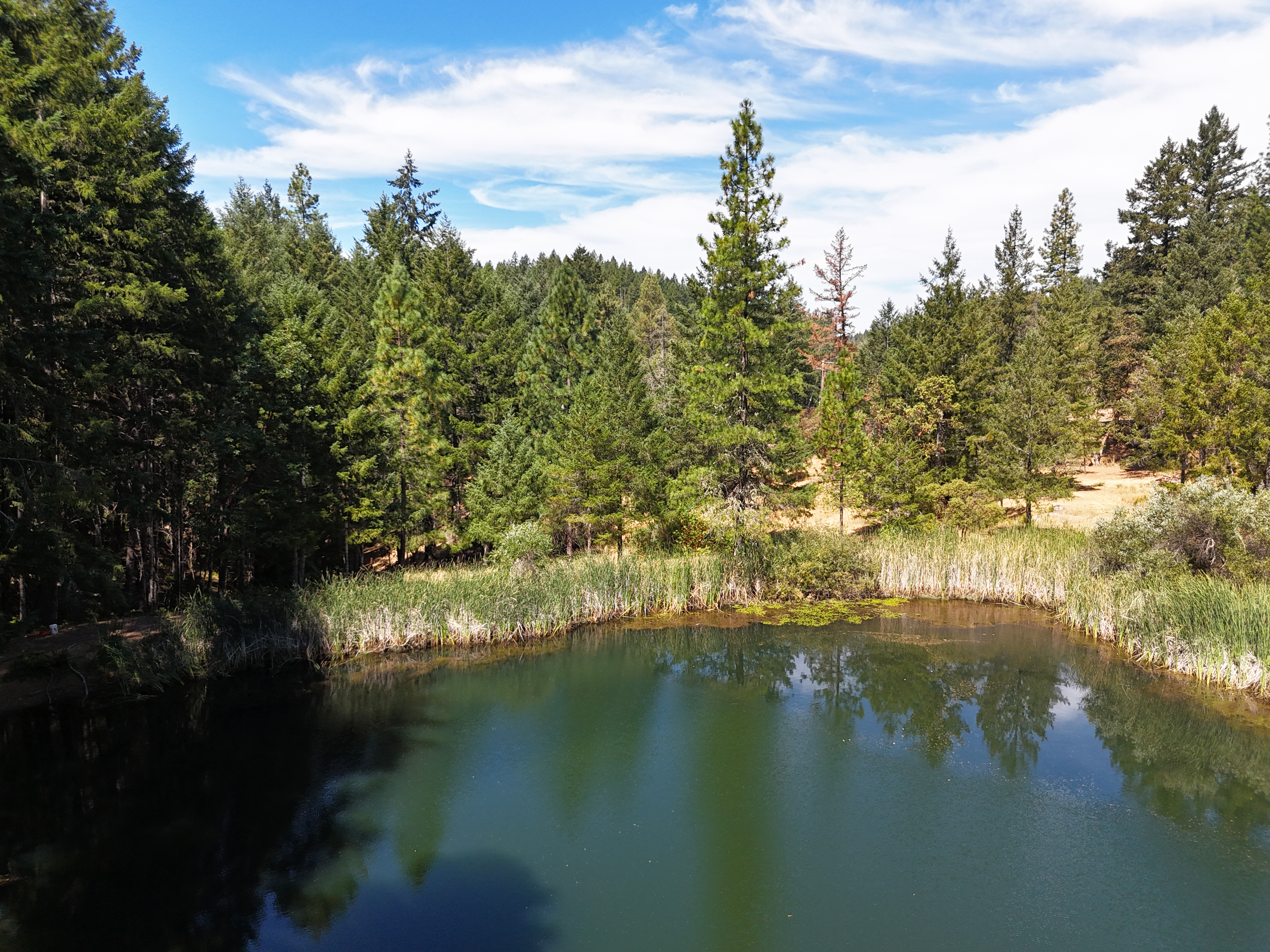 Willits, California, 95490, United States, 2 Bedrooms Bedrooms, ,2 BathroomsBathrooms,Residential,For Sale,1943077