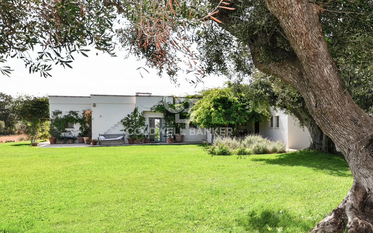 Contrada San Salvatore, Ostuni, Brindisi, 72017, IT, 5 Bedrooms Bedrooms, ,6 BathroomsBathrooms,Residential,For Sale,Contrada San Salvatore,1441436