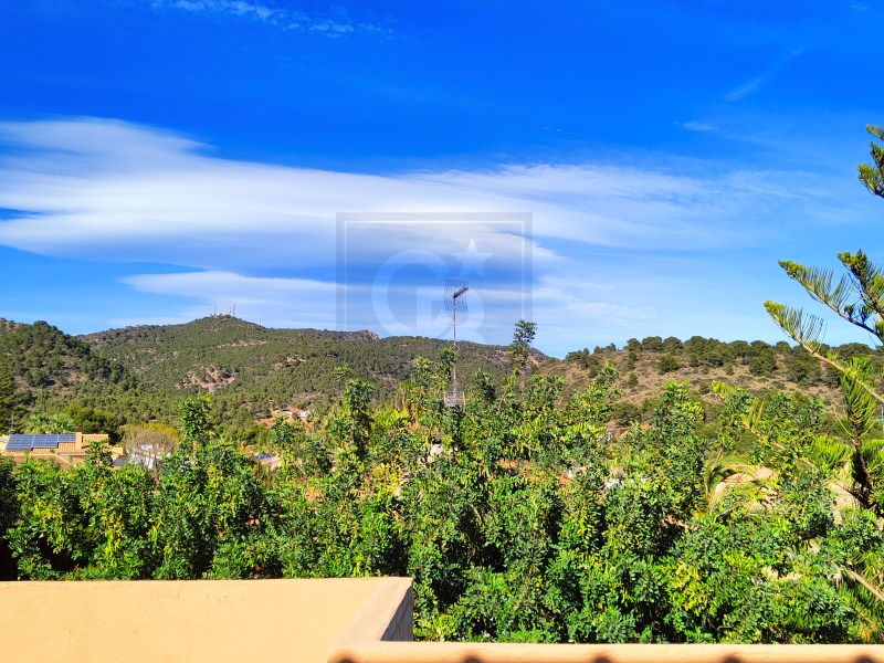 Valencia, Pu?ol, Los Monasterios-Alfinach, Alfinac, Puçol, Comunidad Valenciana, ES, 5 Bedrooms Bedrooms, ,2 BathroomsBathrooms,Residential,For Sale,Valencia, Pu?ol, Los Monasterios-Alfinach, Alfinac,1449090