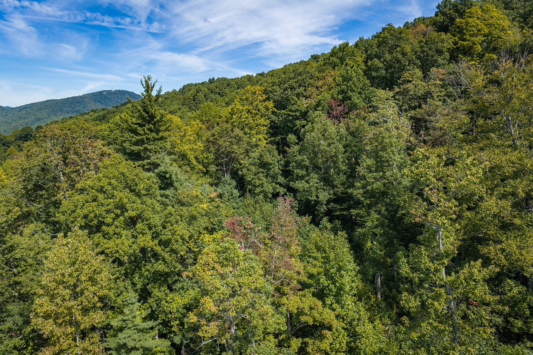  SPRUCE PINE - SUMMIT VIEW - 物件實景