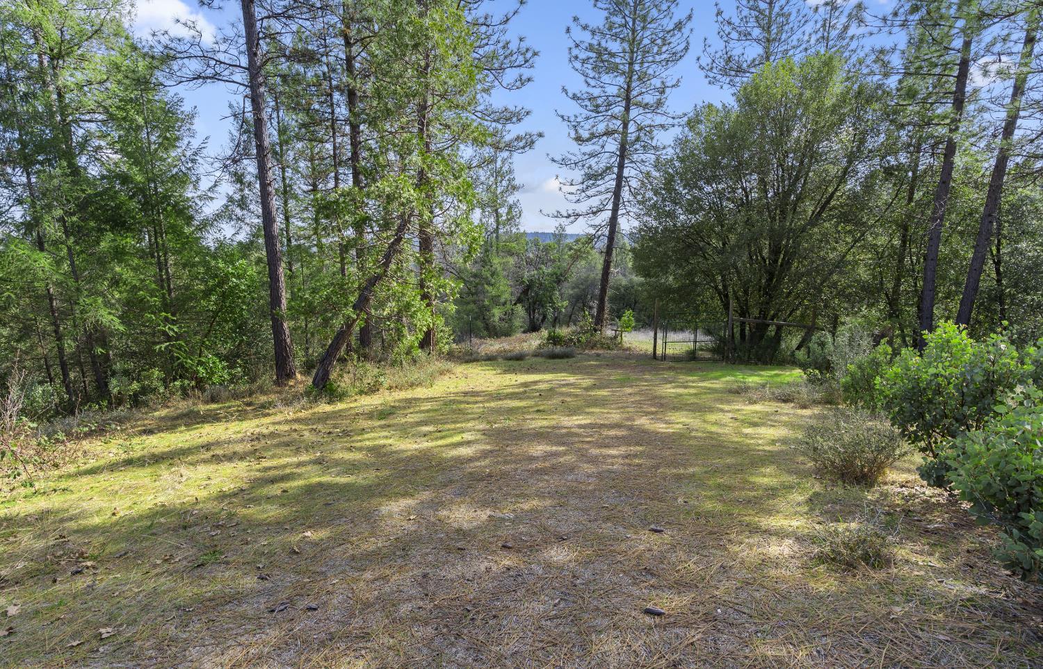 Camptonville, California, 95922, United States, 1 Bedroom Bedrooms, ,2 BathroomsBathrooms,Residential,For Sale,1938019
