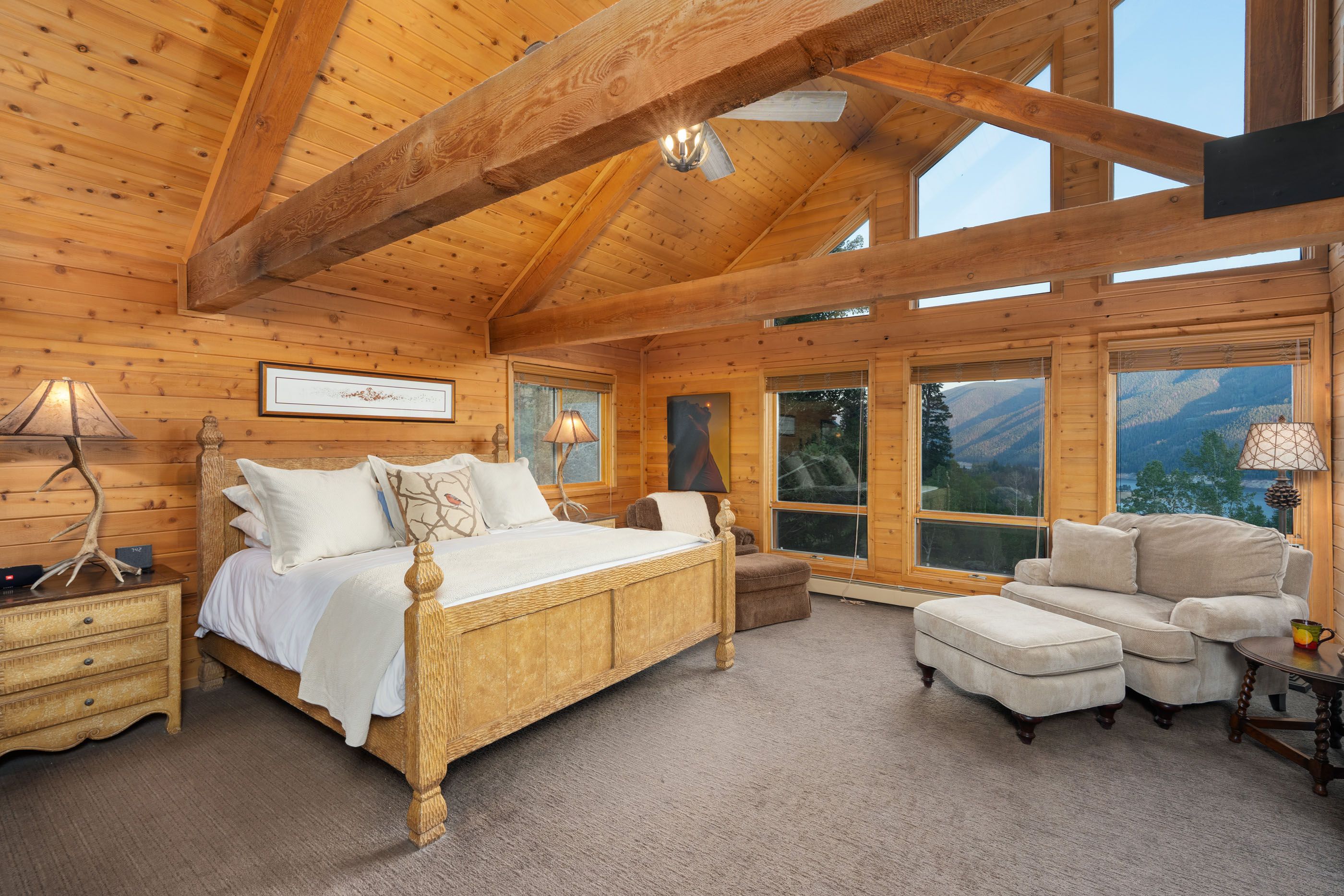  294 Ruedi Creek Road, Basalt, CO 81621 - 物件實景