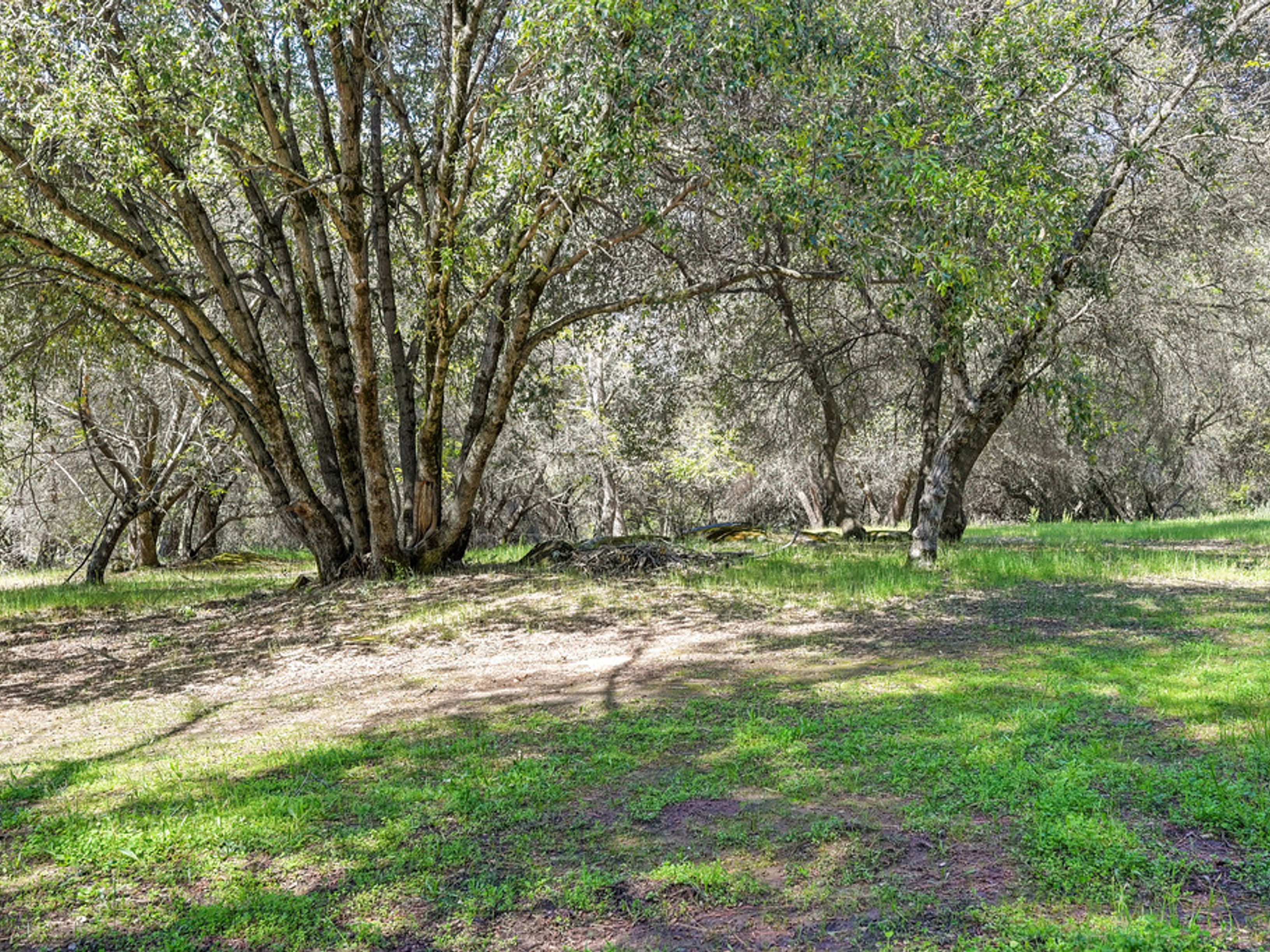  1800 Silverado Drive, Placerville, CA 95667 - 物件實景