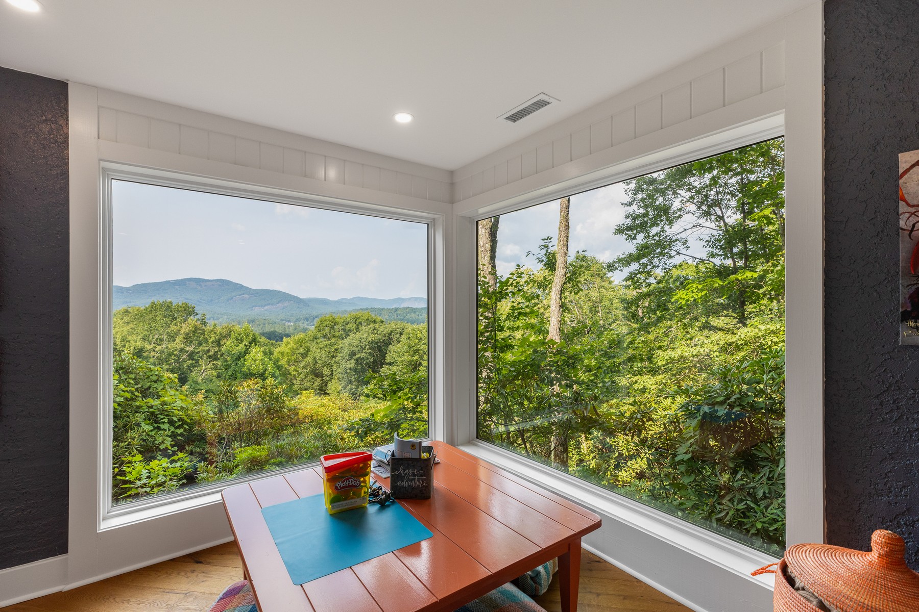 156 Devils Courthouse View - 物件實景