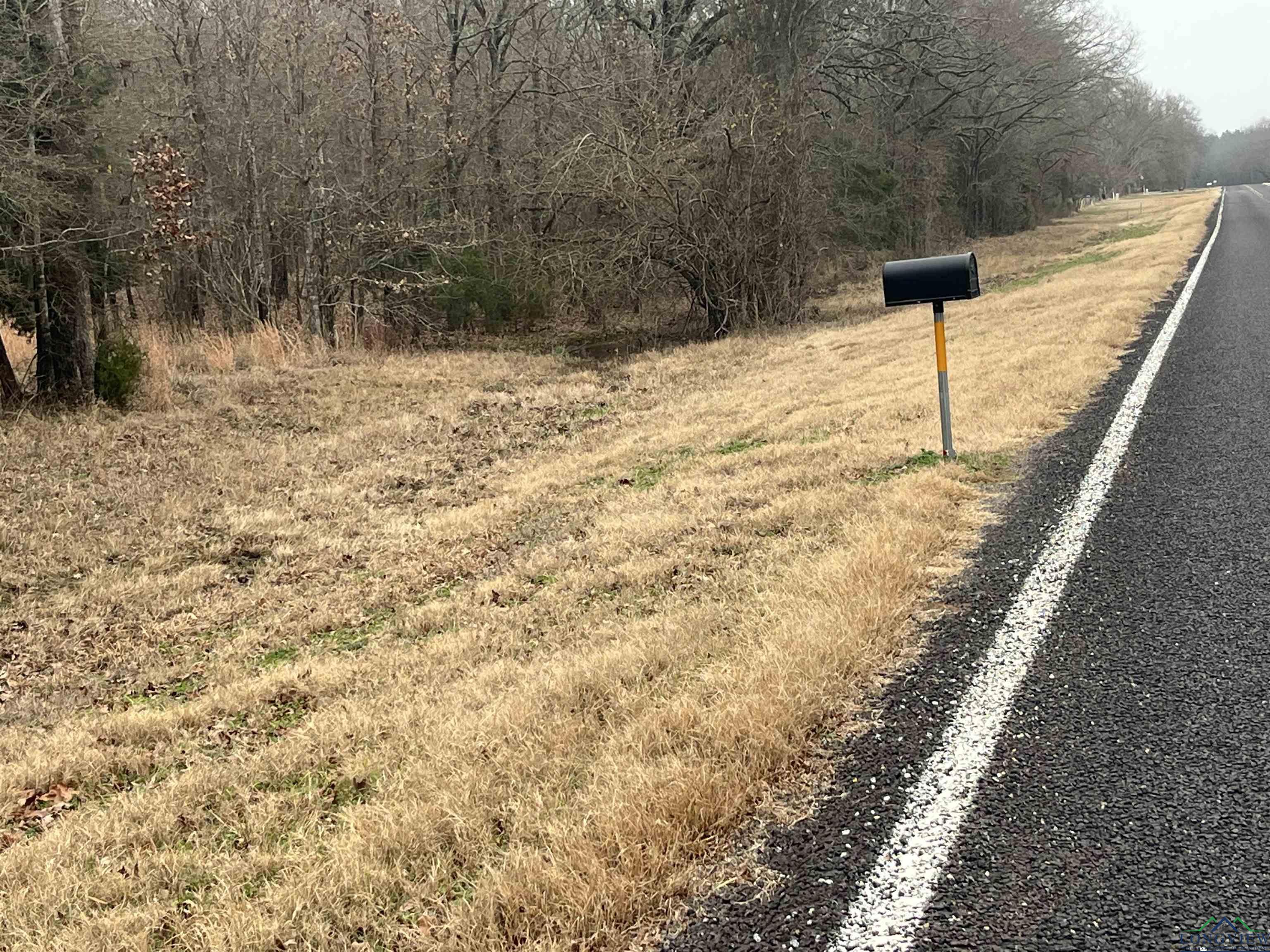 Bogata, Texas, 75417, United States, ,Land,For Sale,1713371