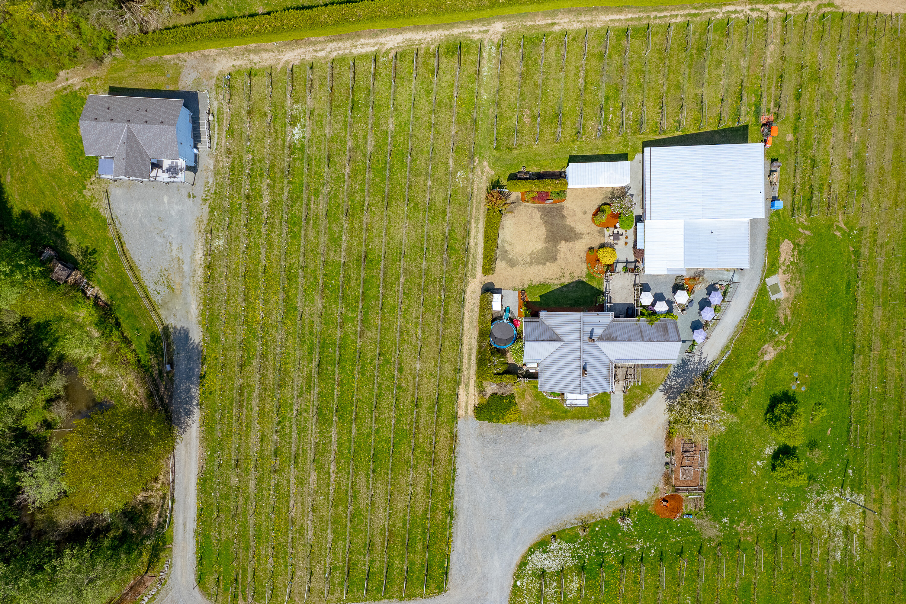  Welcome to Emandare Vineyard - 物件實景