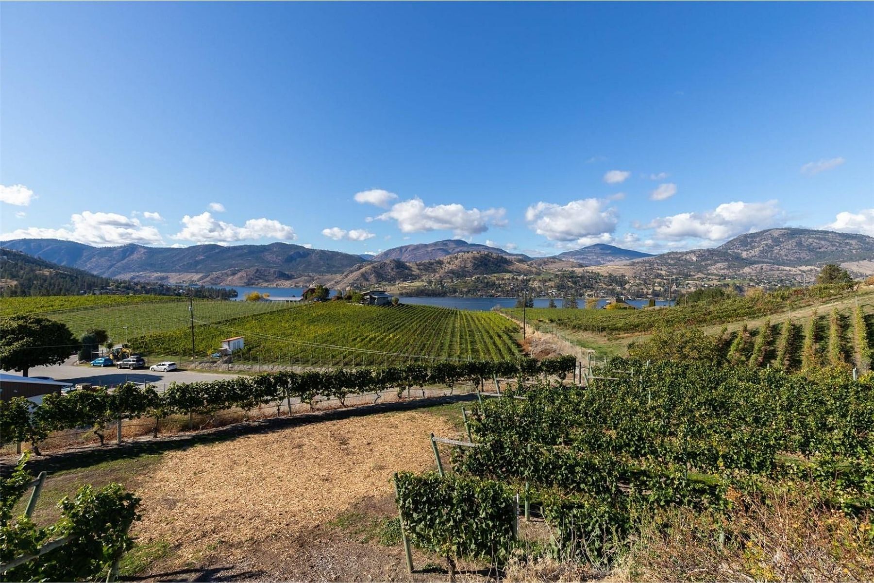  Boutique Okanagan Winery - 物件實景