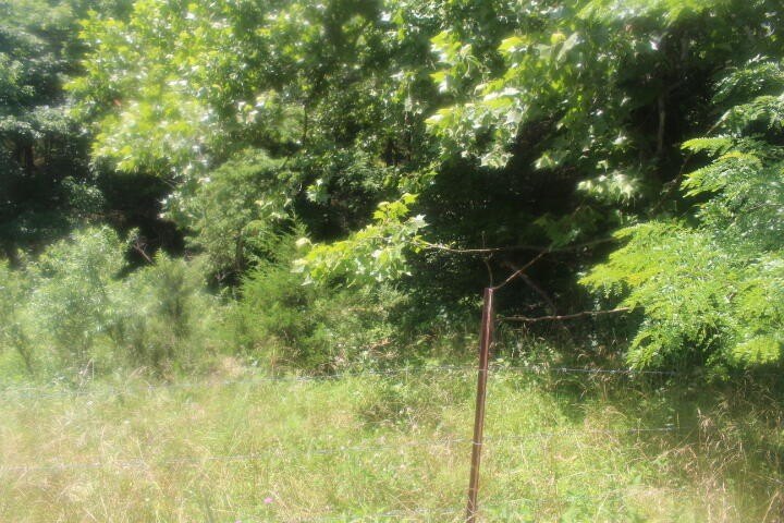 Polk, Missouri, 65727, United States, ,Land,For Sale,1980569