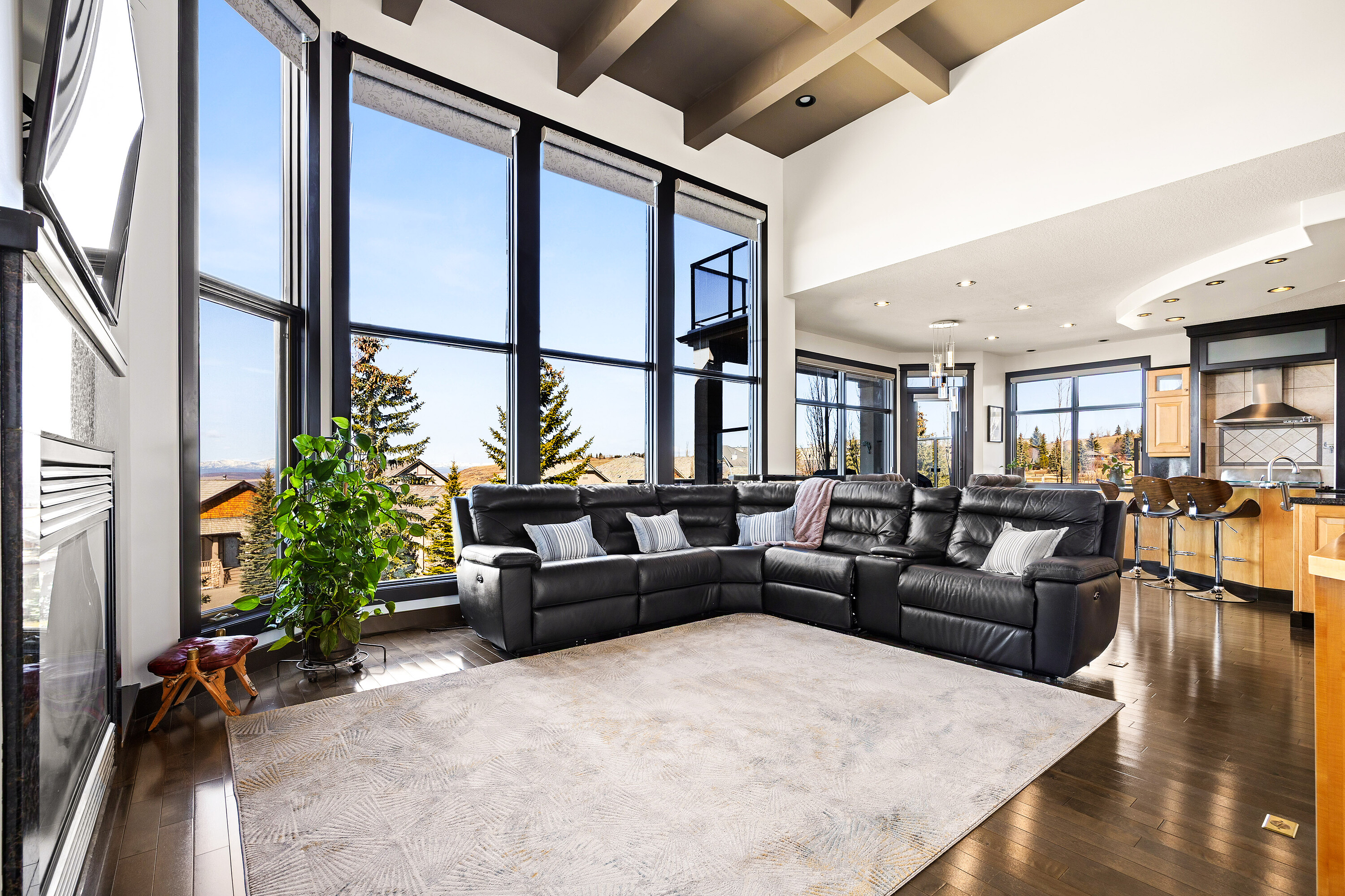  Elevated Mountain View Living - 物件實景