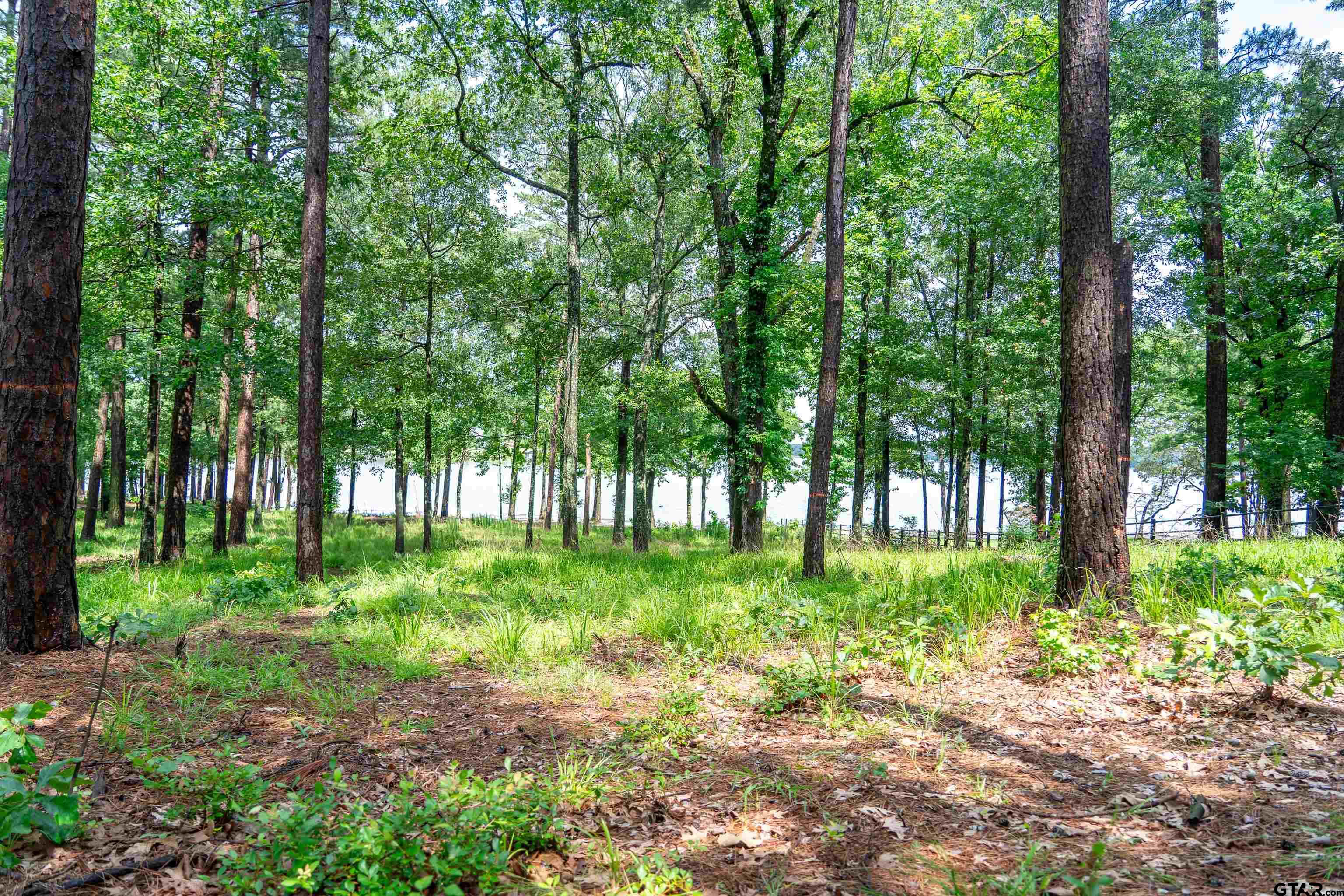 Scroggins, Texas, 75480, United States, ,Land,For Sale,1975863