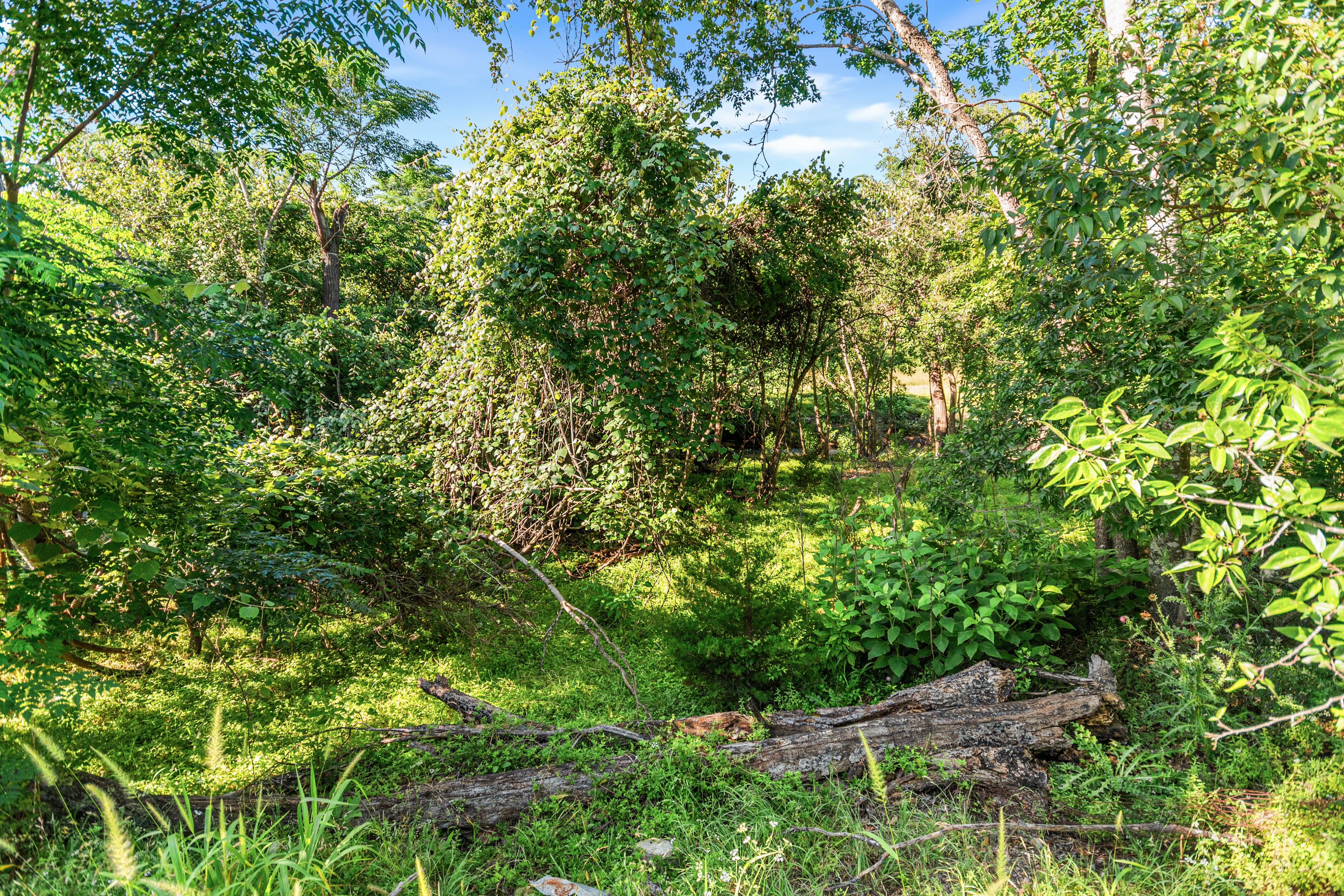 Beautiful Lot In The Heart Of Boerne - 物件實景